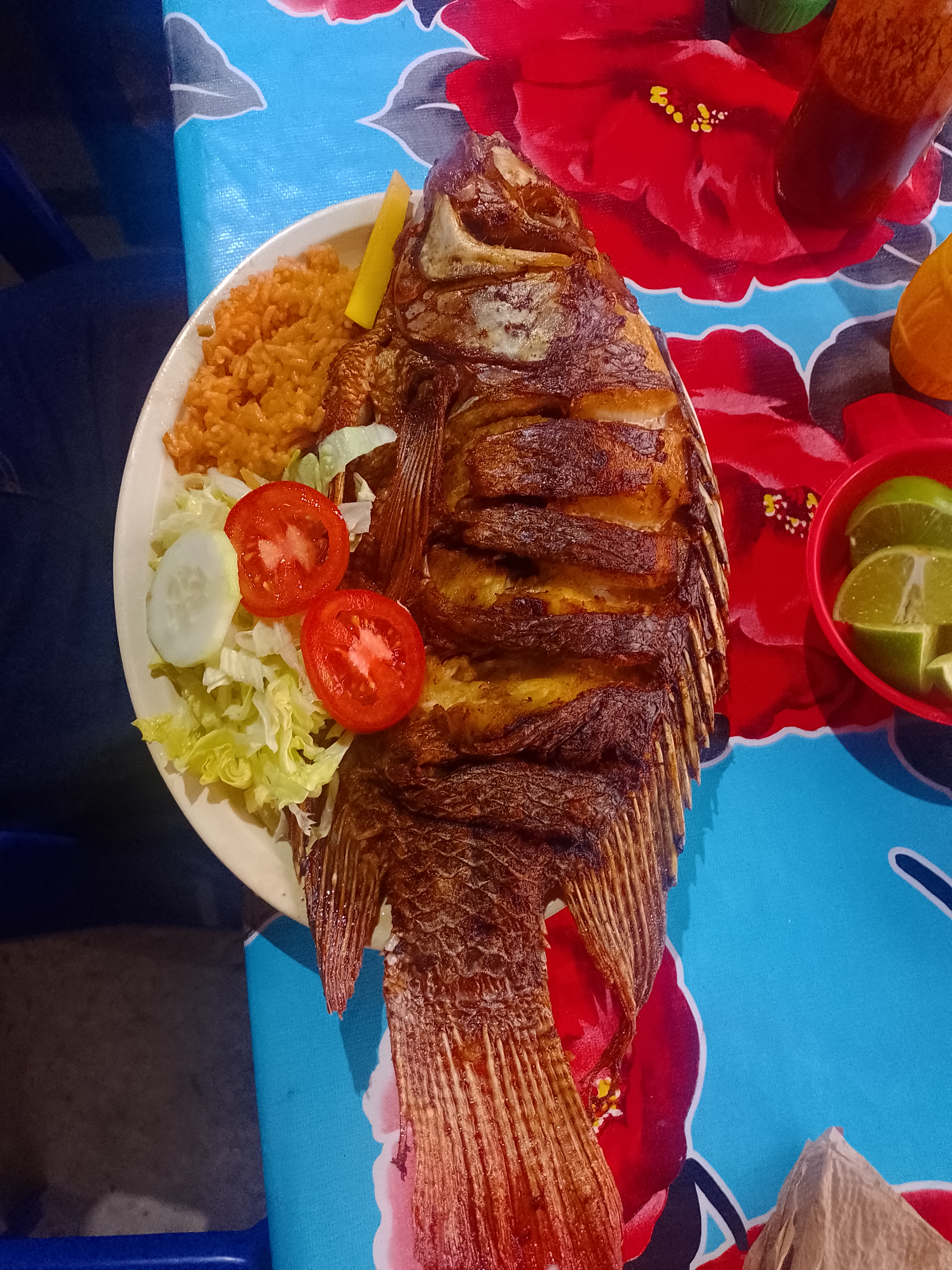 Palapa San Juan image 3