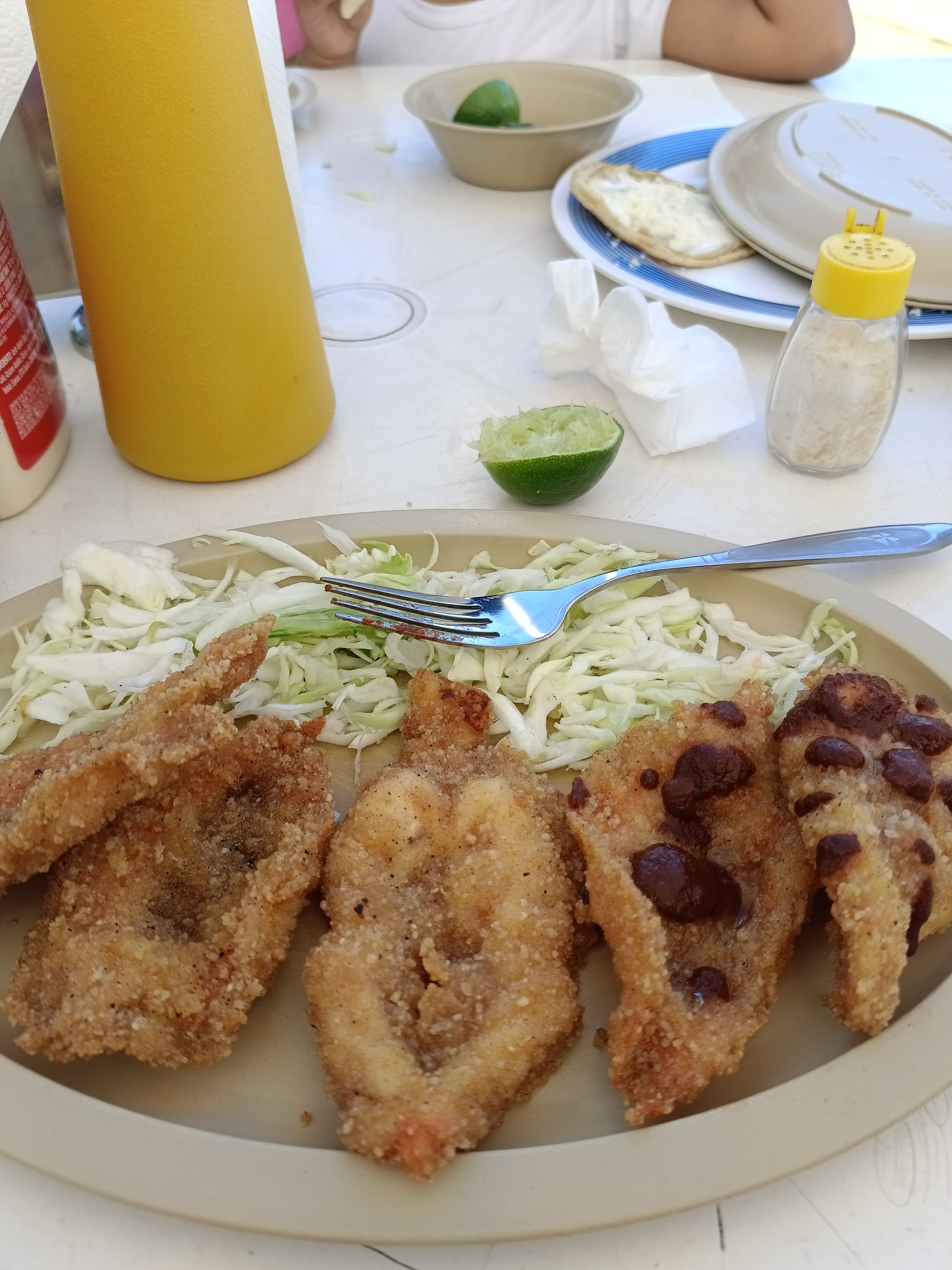 Palapa San Juan image 5