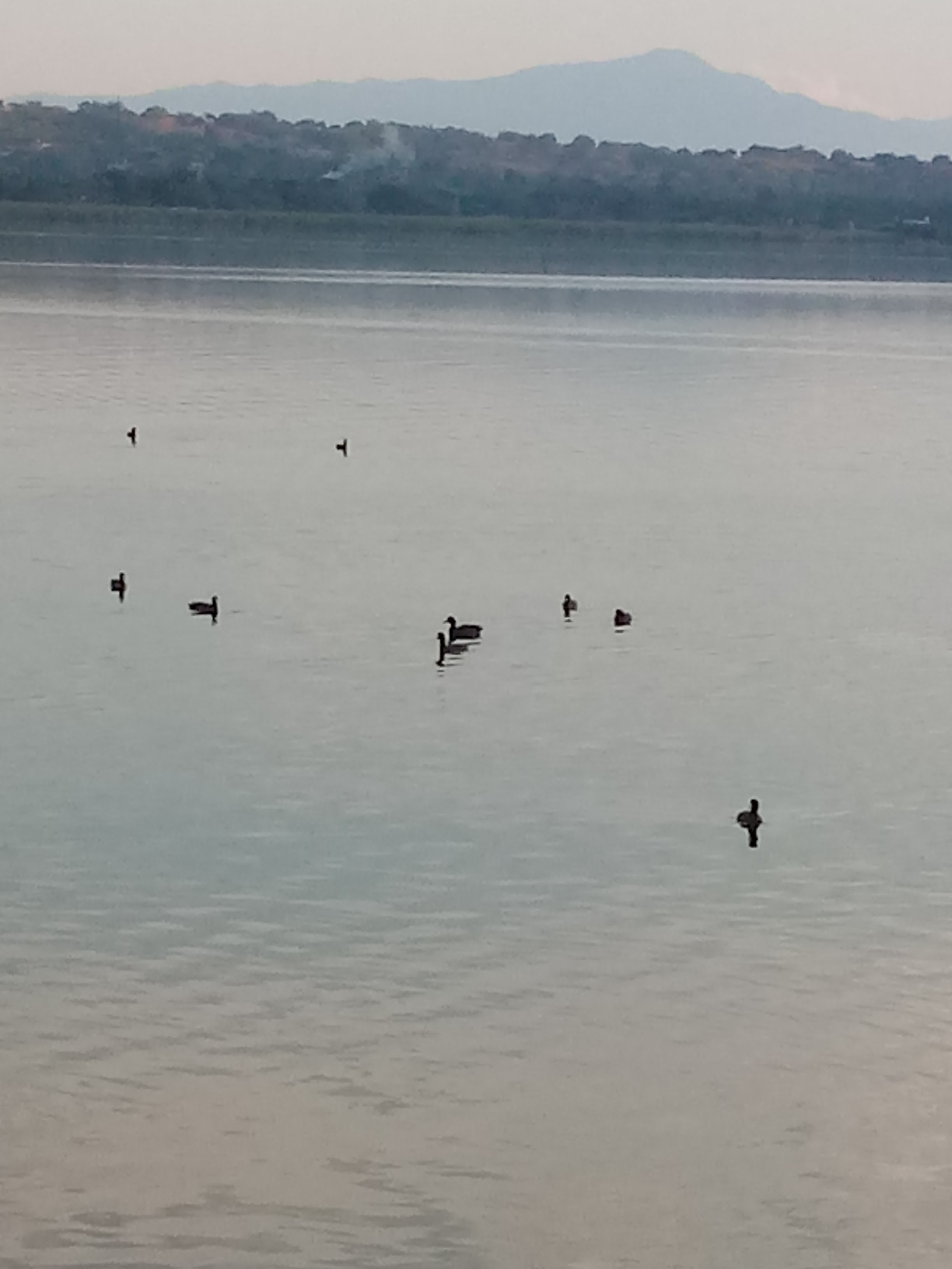 Palapa San Juan image 6