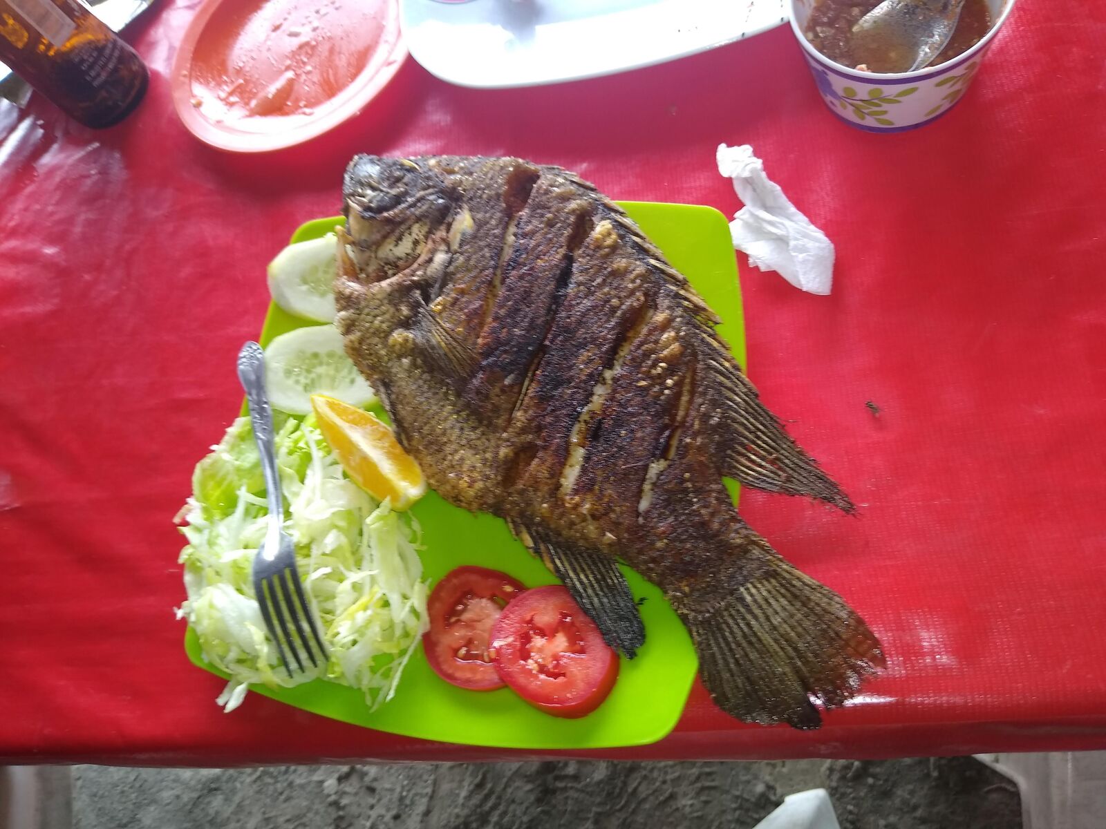 Bahía image 2