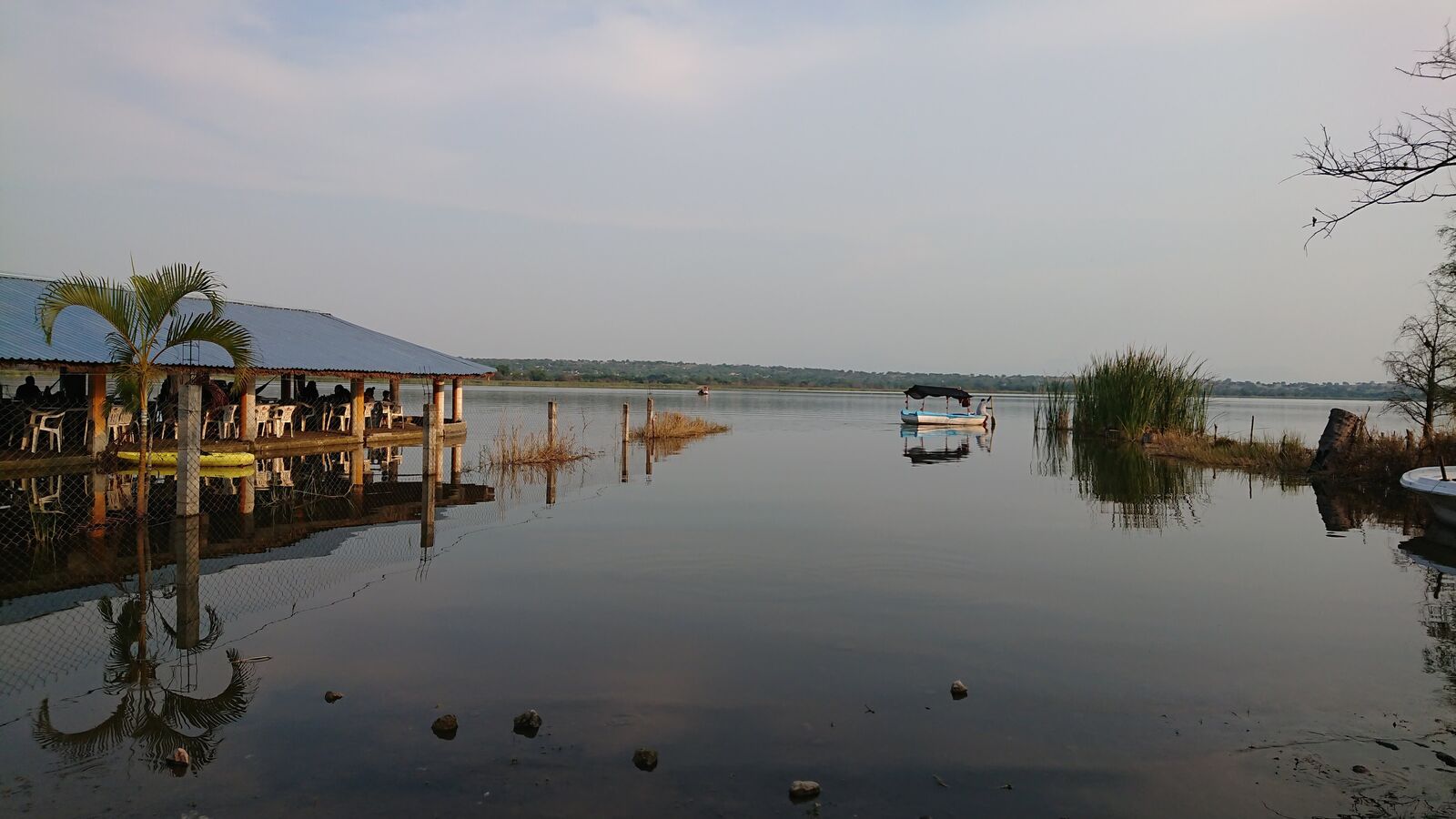 Bahía image 5