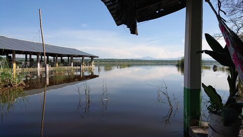 Bahía image 8