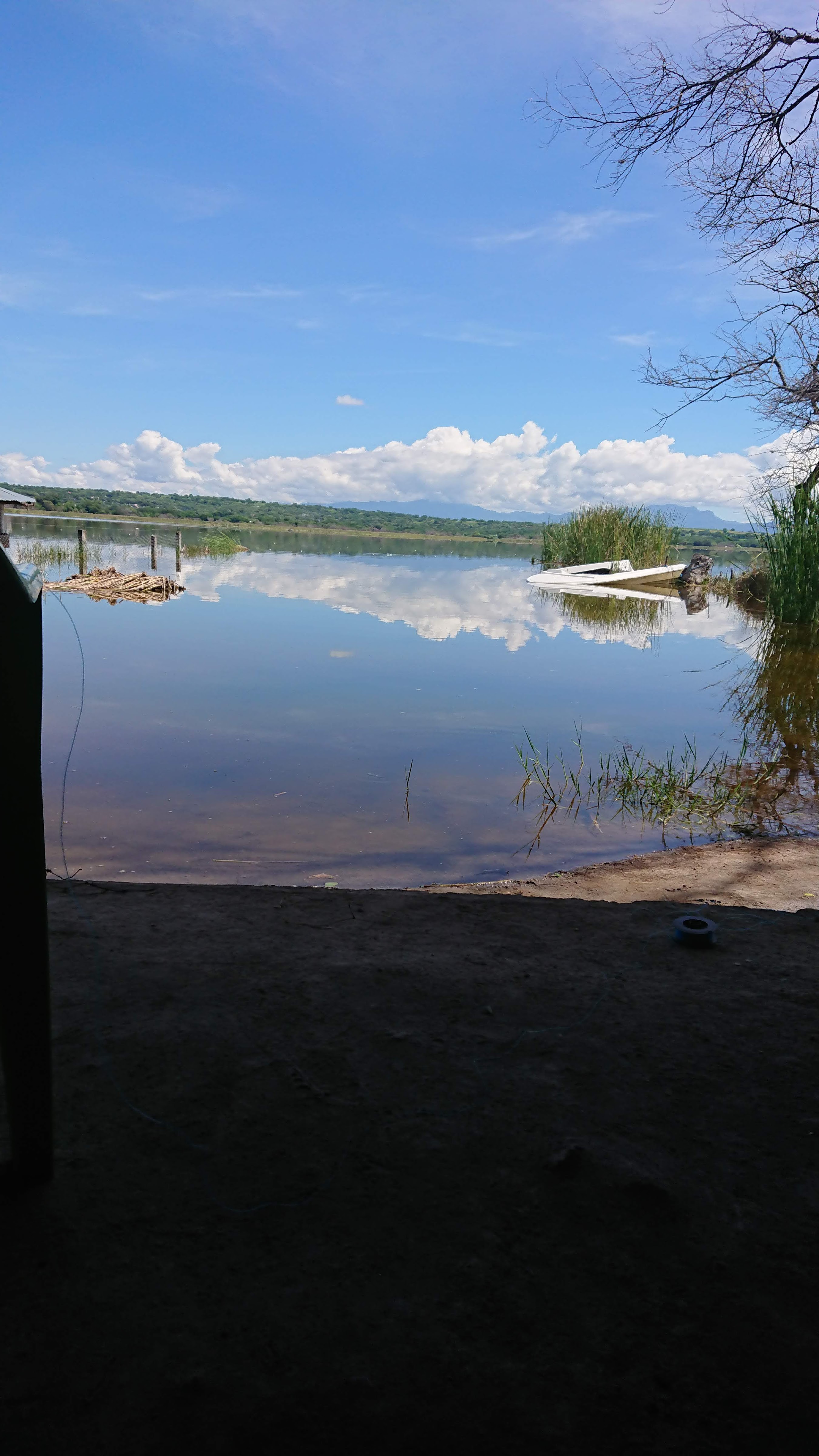 Bahía image 10