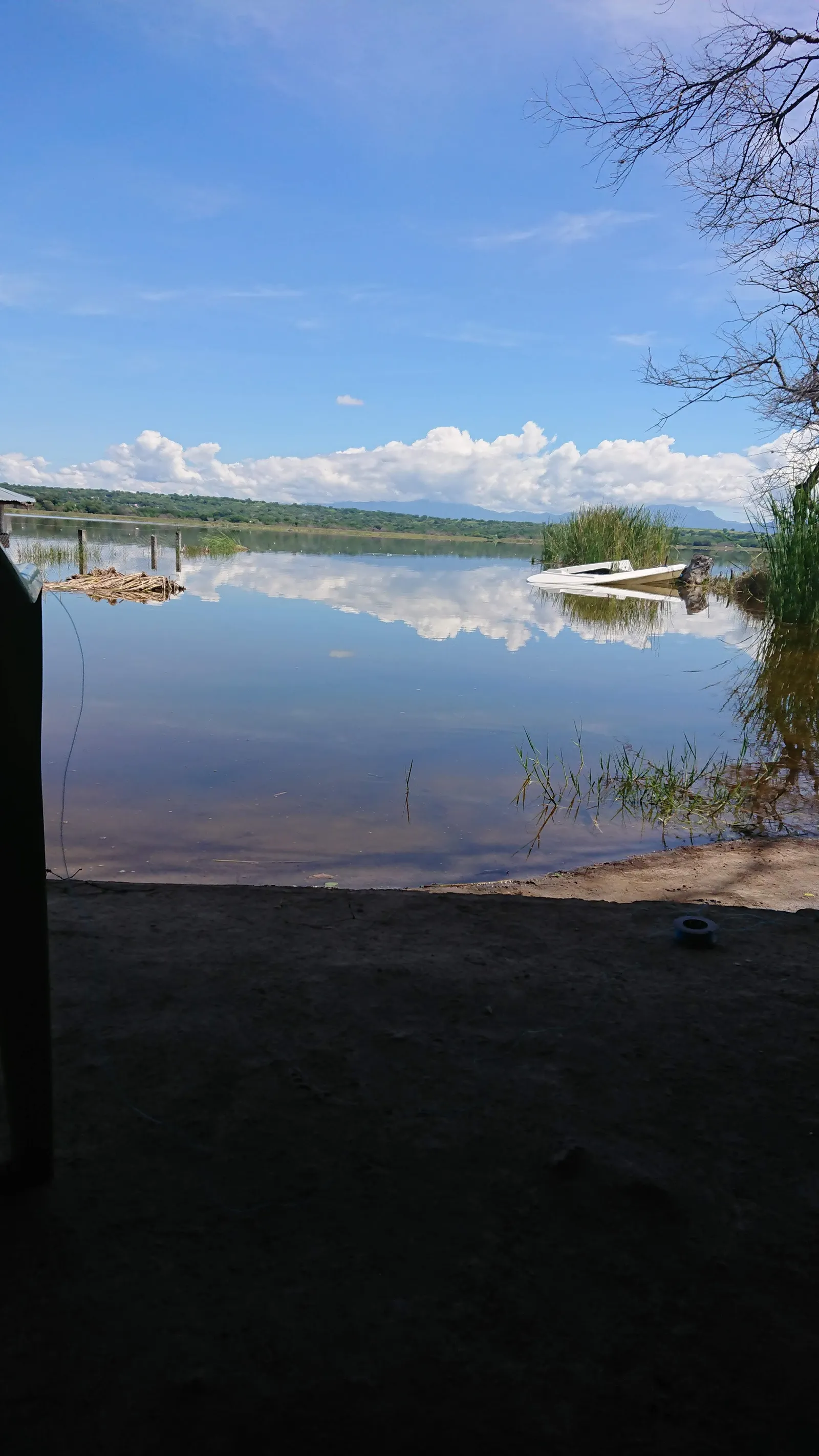 Bahía image 10