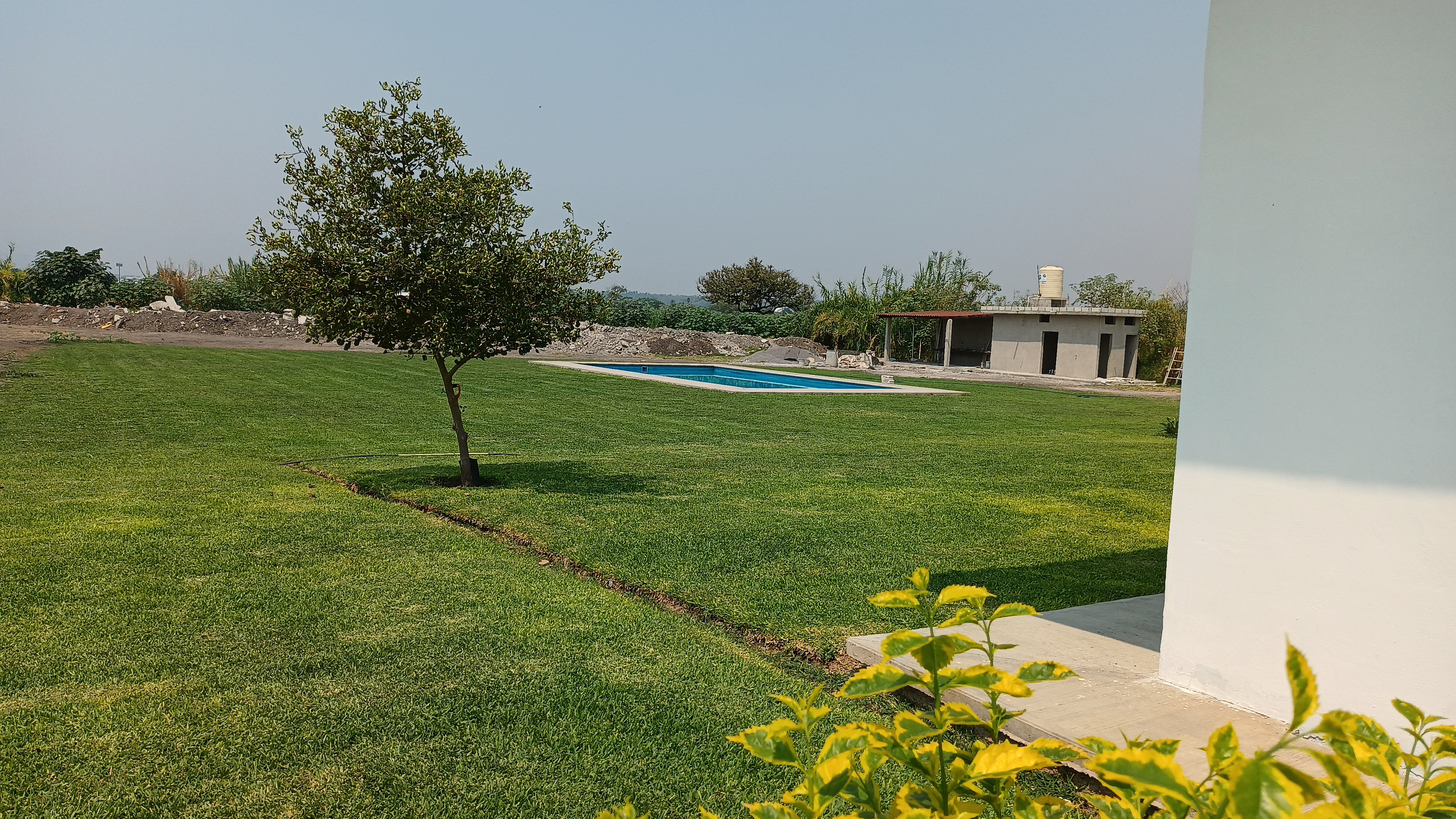 Los Girasoles Restaurante image 6