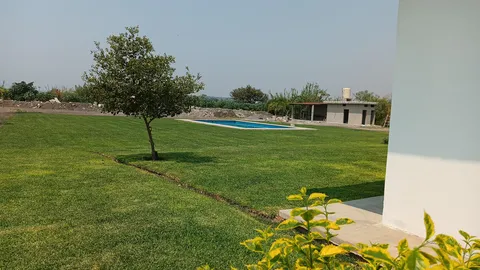 Los Girasoles Restaurante image 6