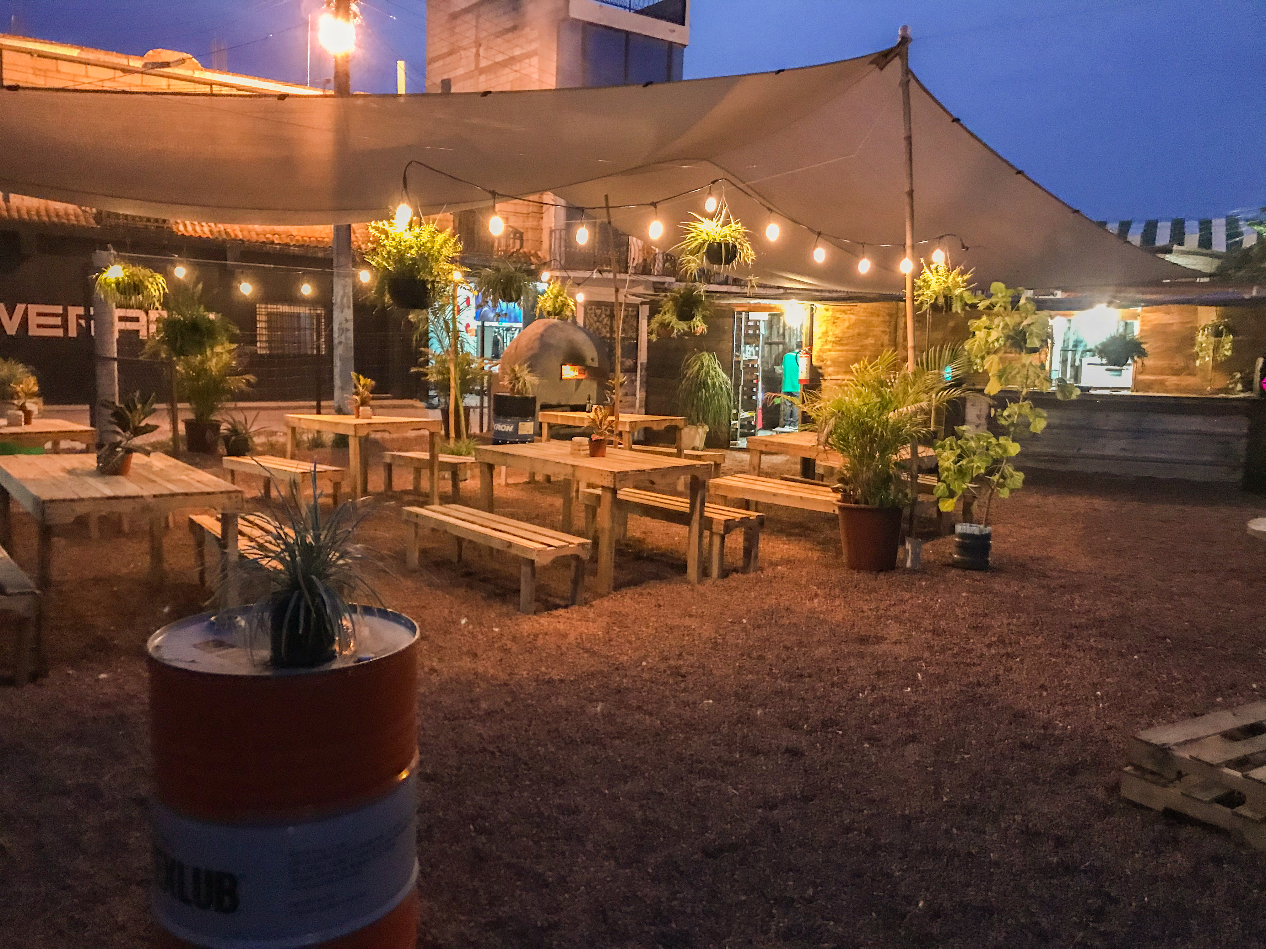 Jardín Allende image 3