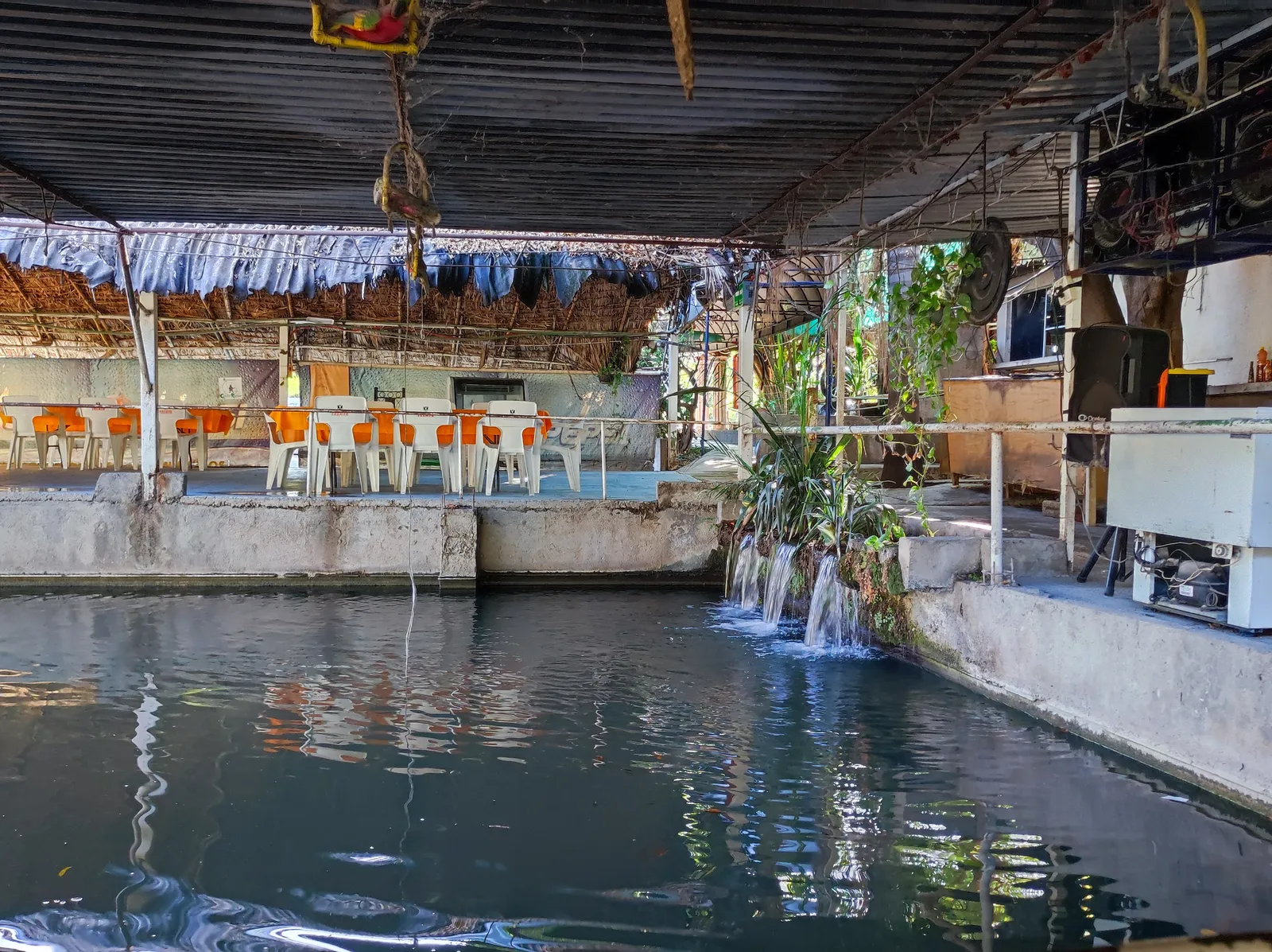 RESTAURANT CANTA RANAS image 1