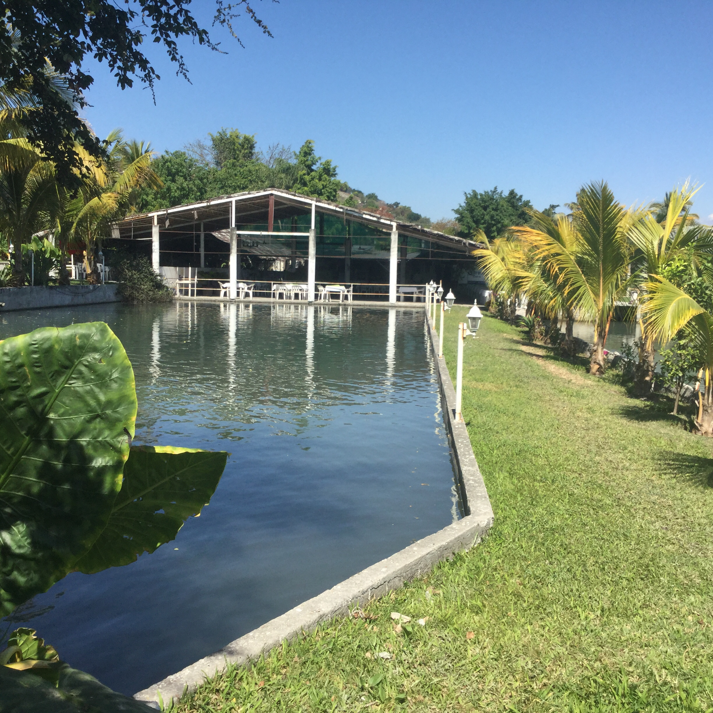 RESTAURANT CANTA RANAS image 4