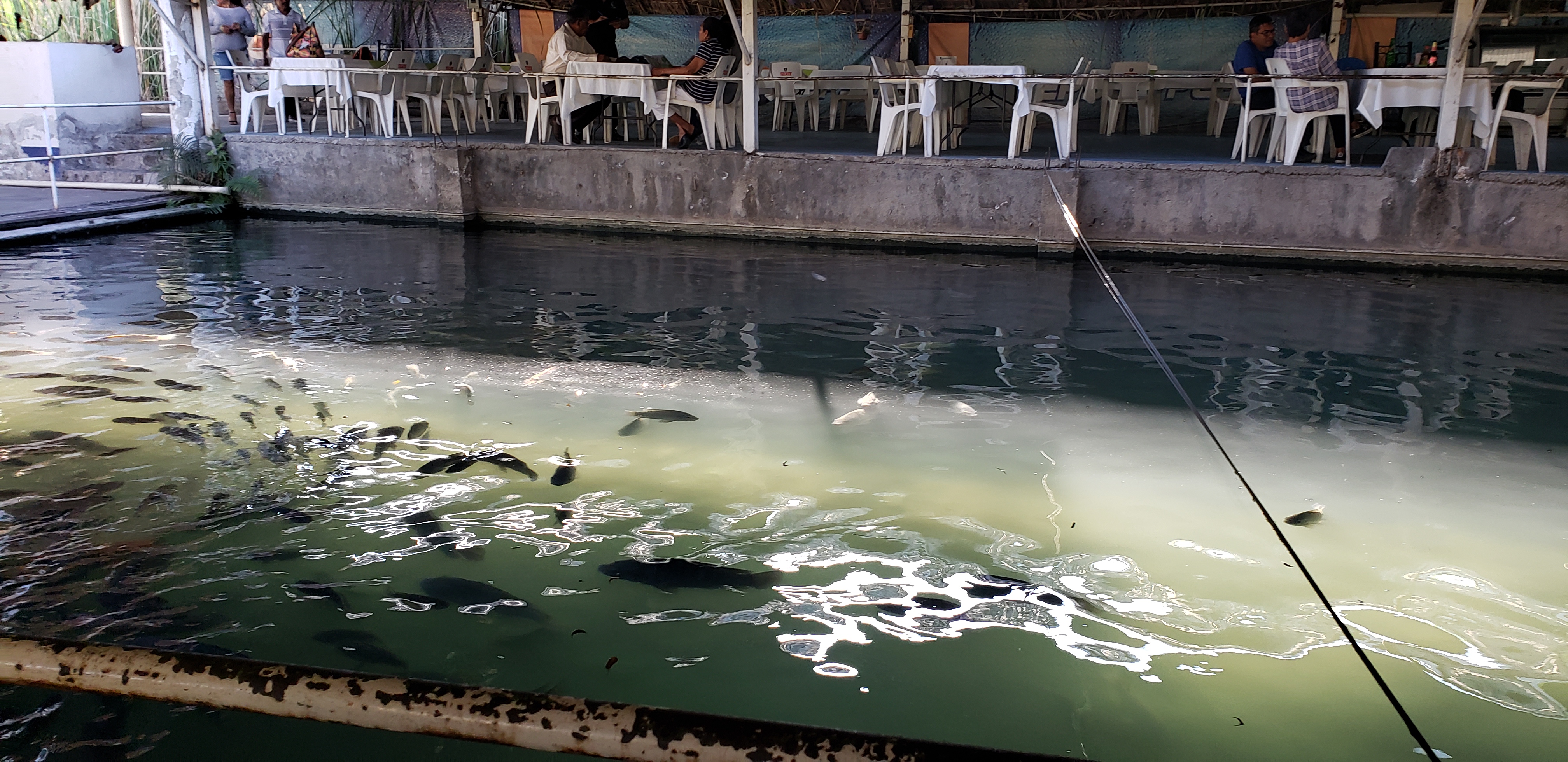 RESTAURANT CANTA RANAS image 6