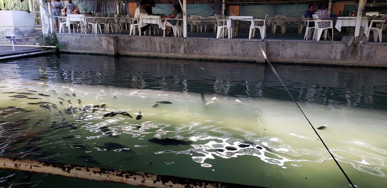 RESTAURANT CANTA RANAS image 6