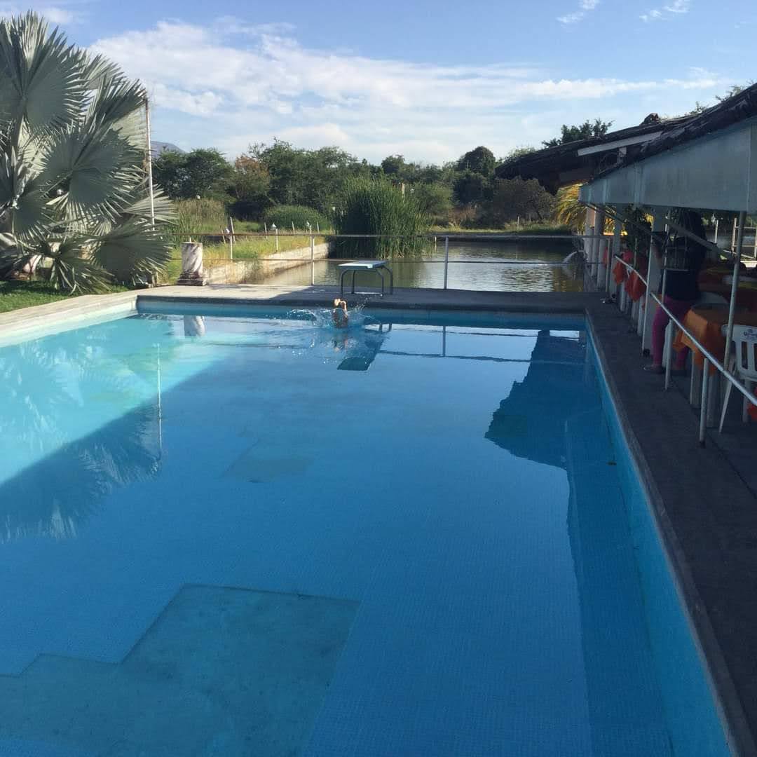 RESTAURANT CANTA RANAS image 8