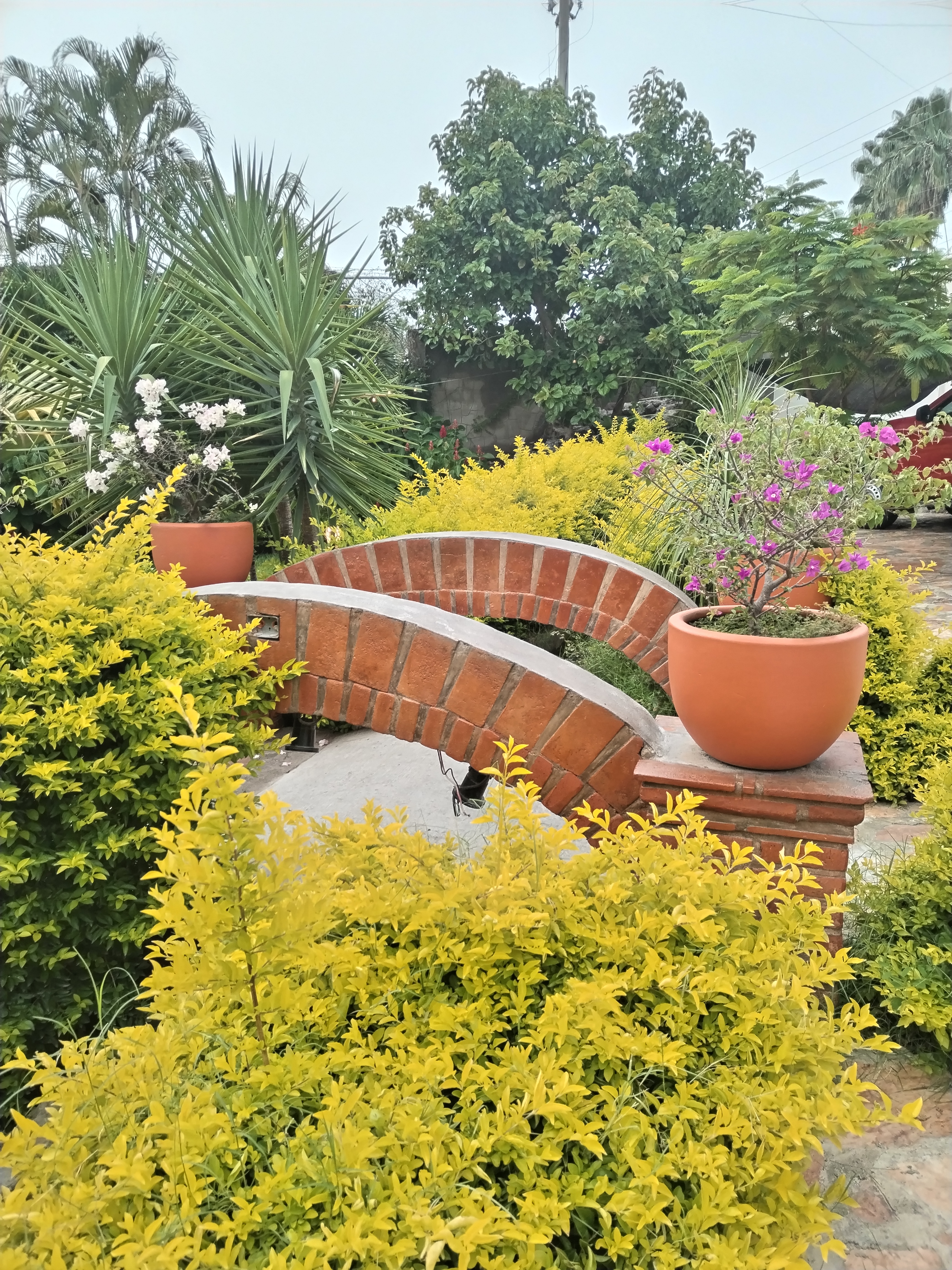 Restaurante Coffee Time image 6