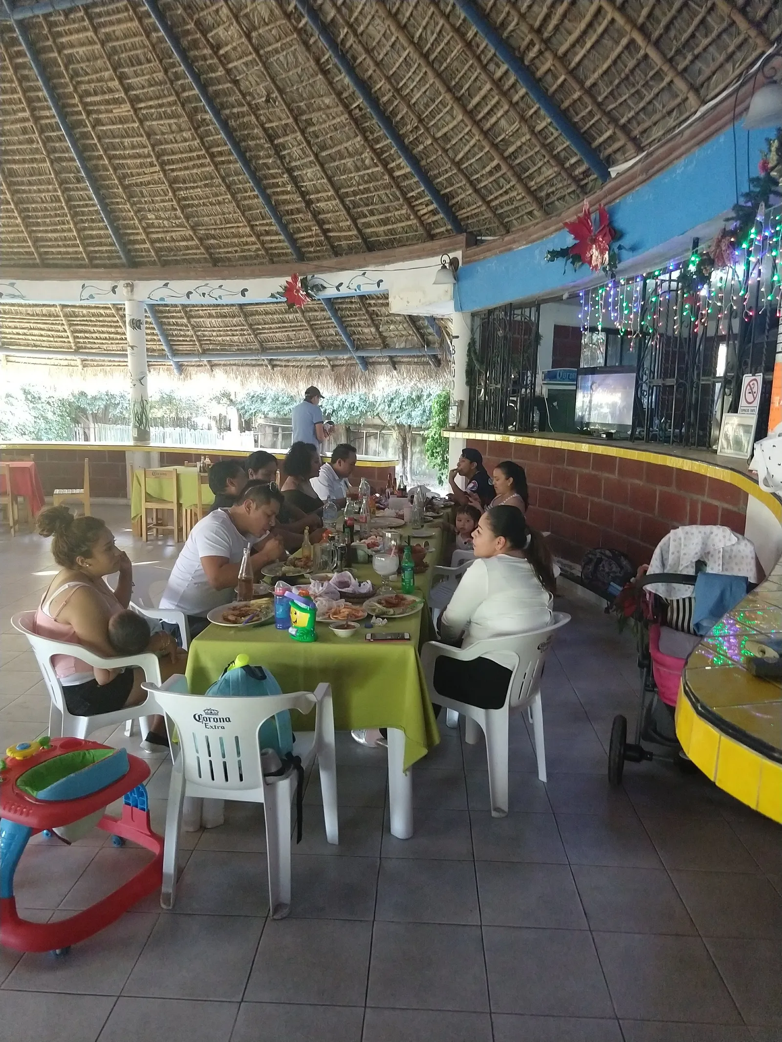 Palapa "Los Delfines" image 3