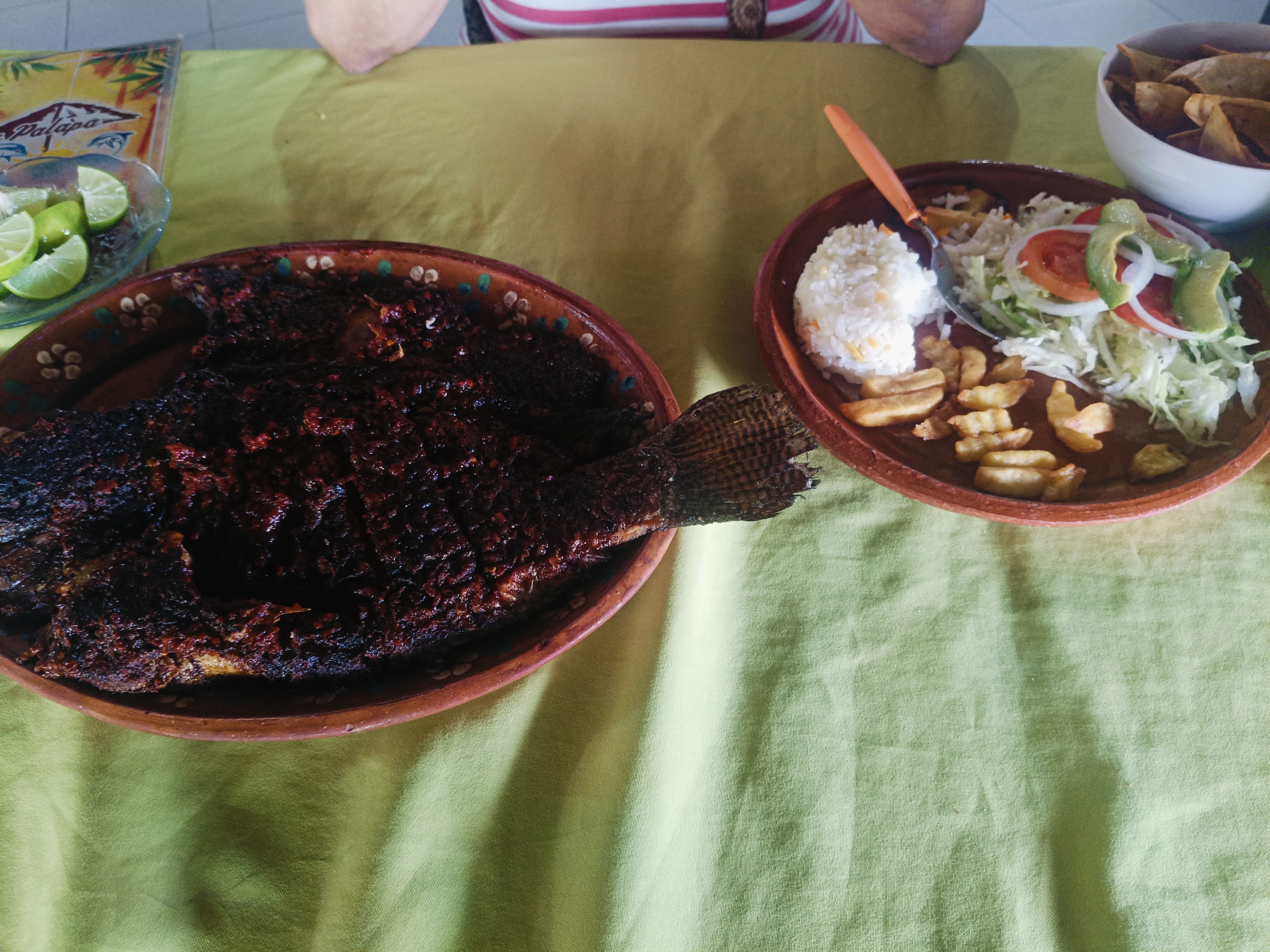 Palapa "Los Delfines" image 4