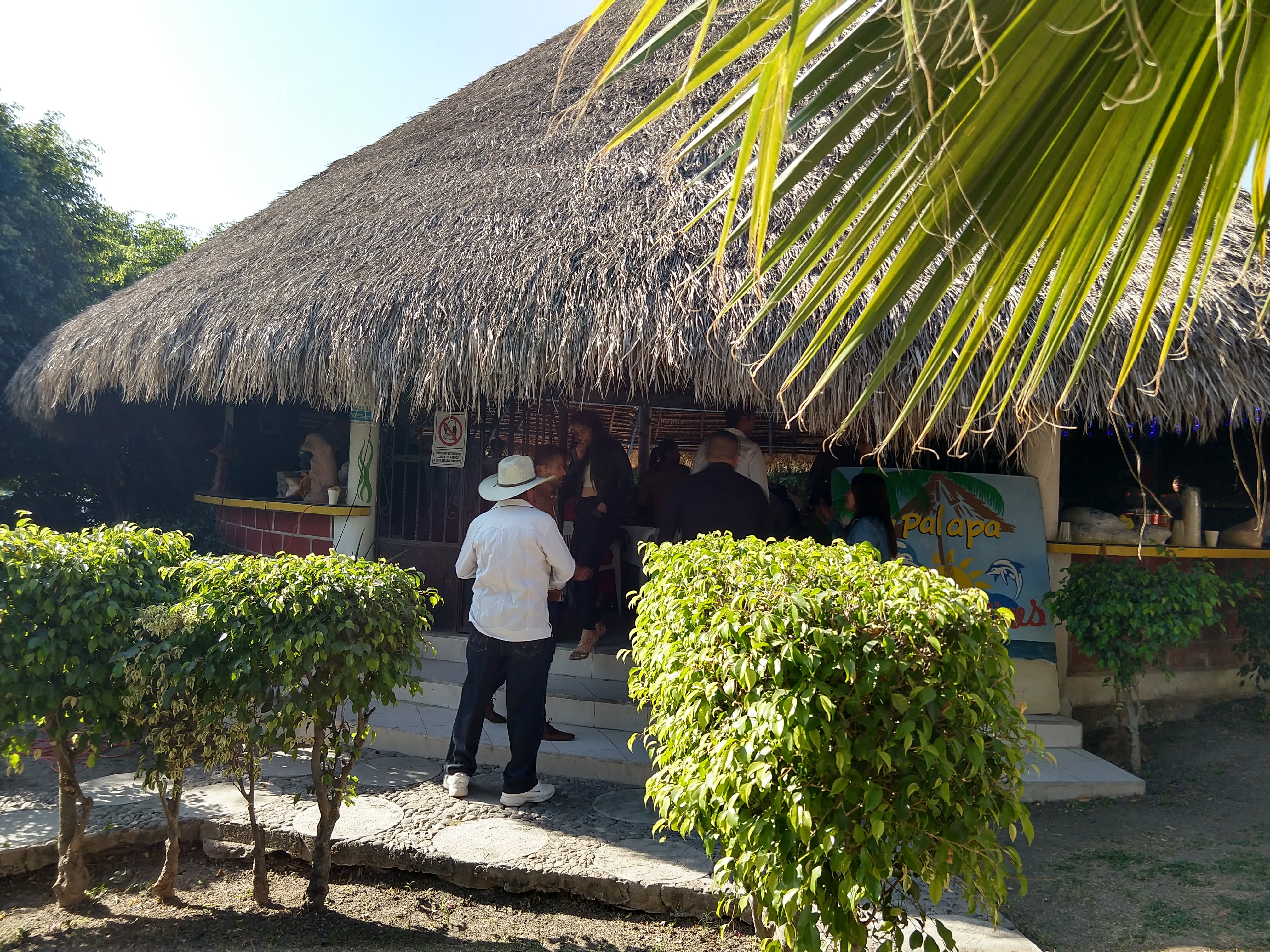 Palapa "Los Delfines" image 10