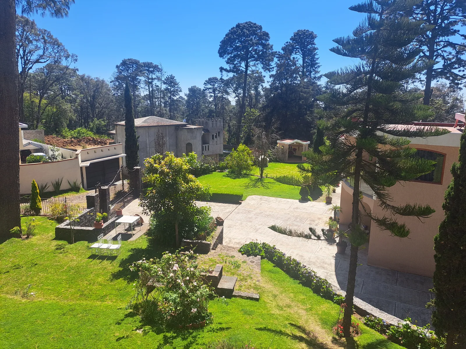 Restaurant "Campestre" image 4