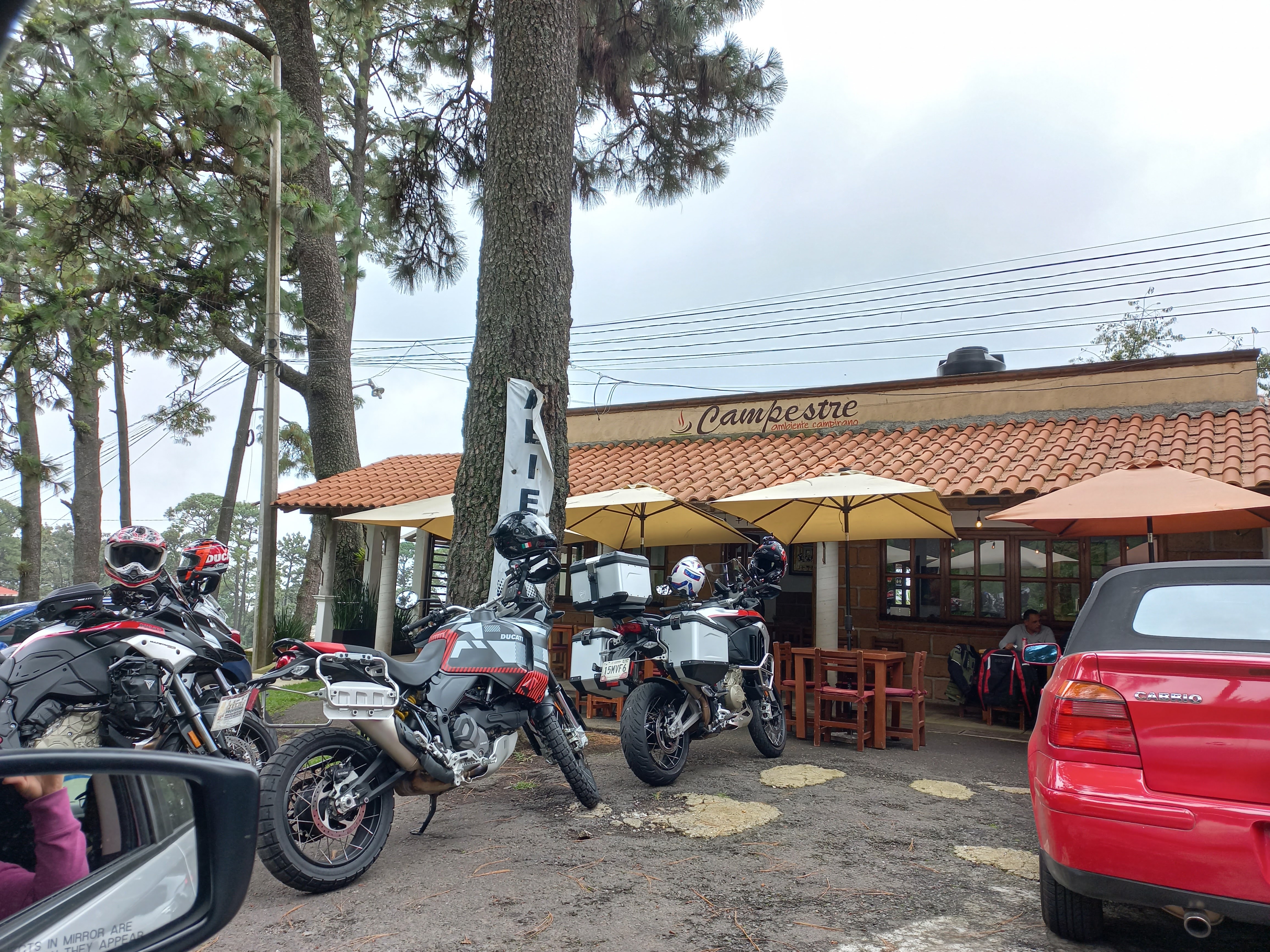 Restaurant "Campestre" image 8