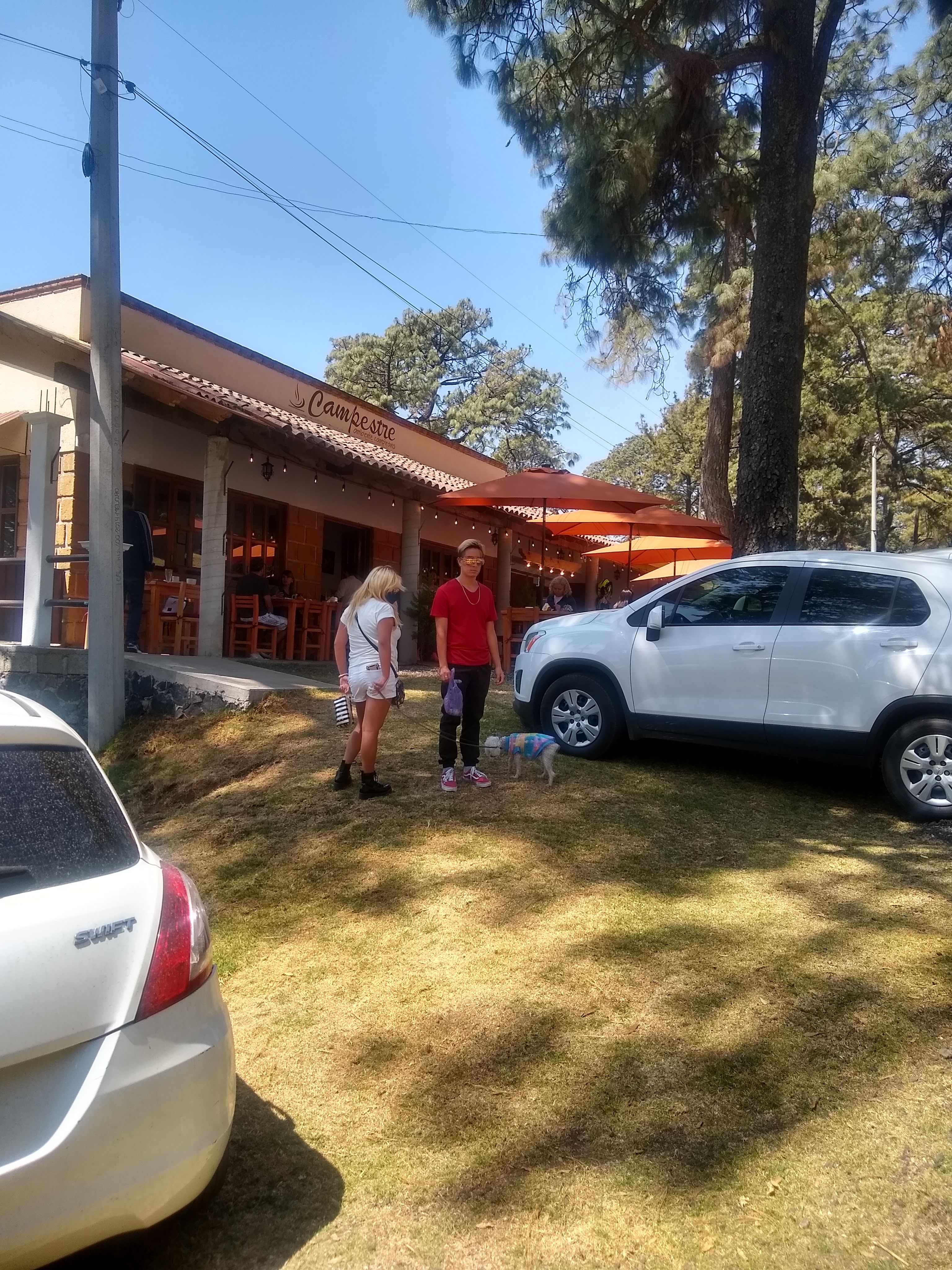 Restaurant "Campestre" image 9