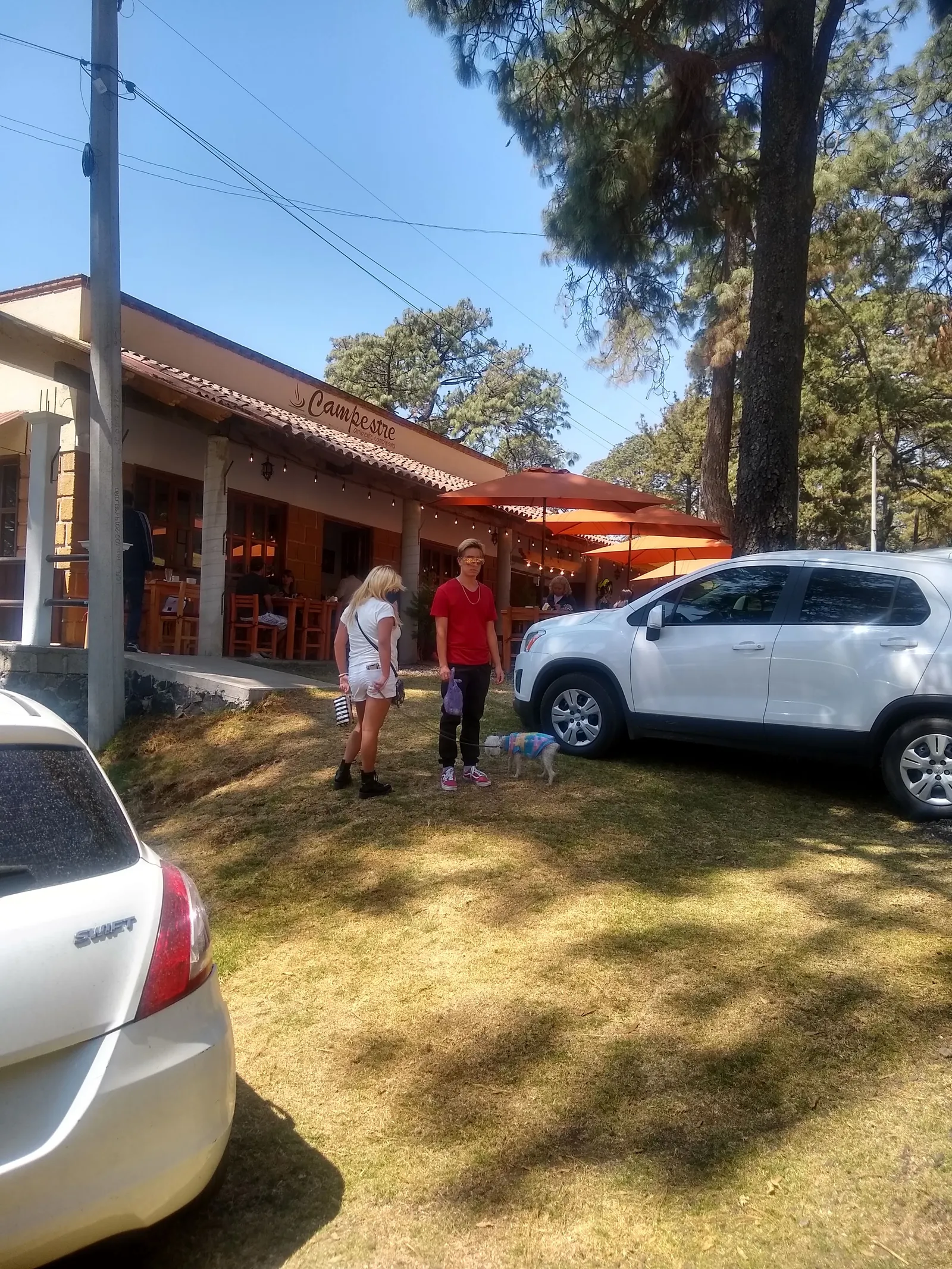 Restaurant "Campestre" image 9