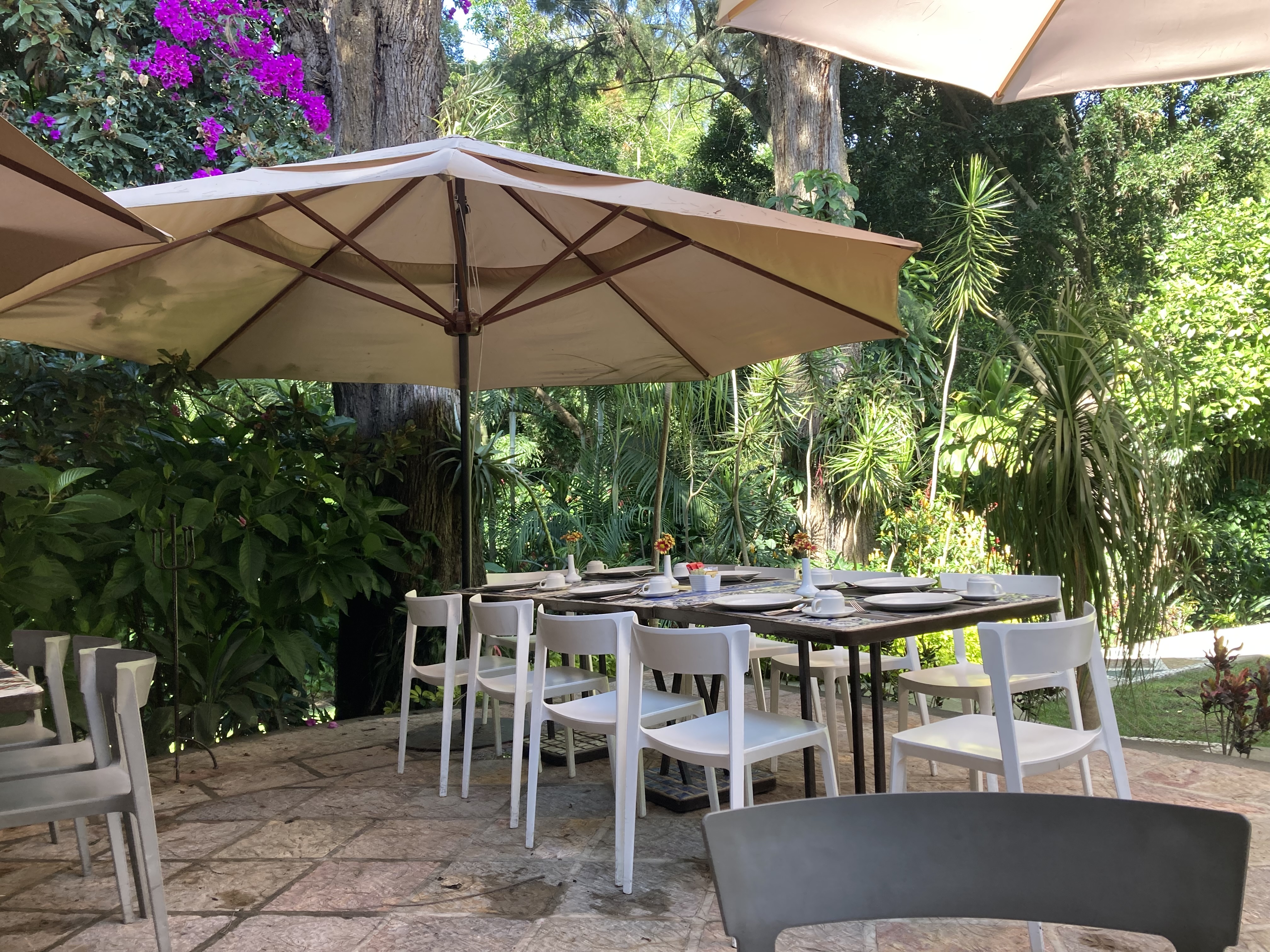 Cocina de Raíz Restaurante image 1