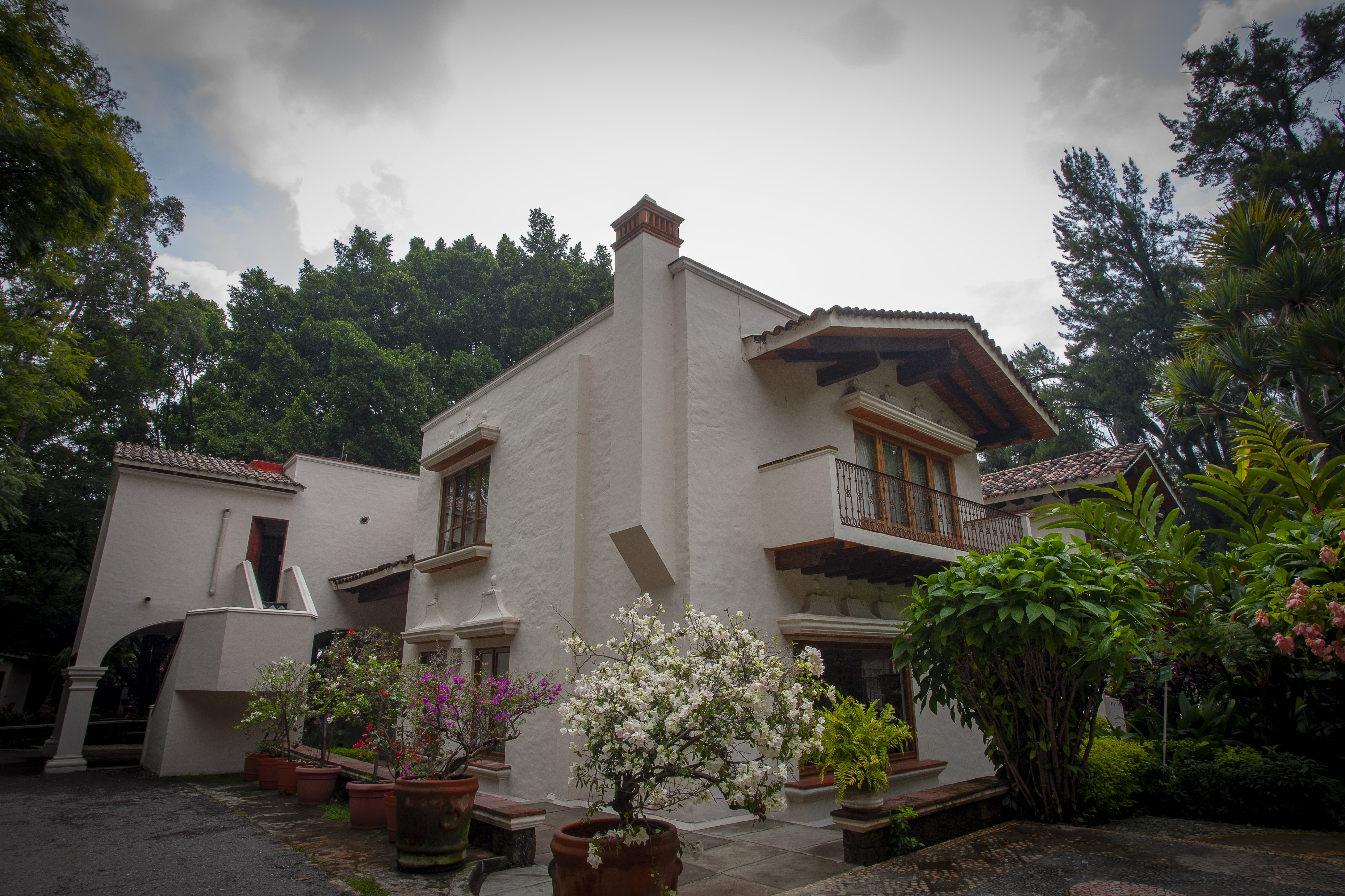 Cocina de Raíz Restaurante image 3