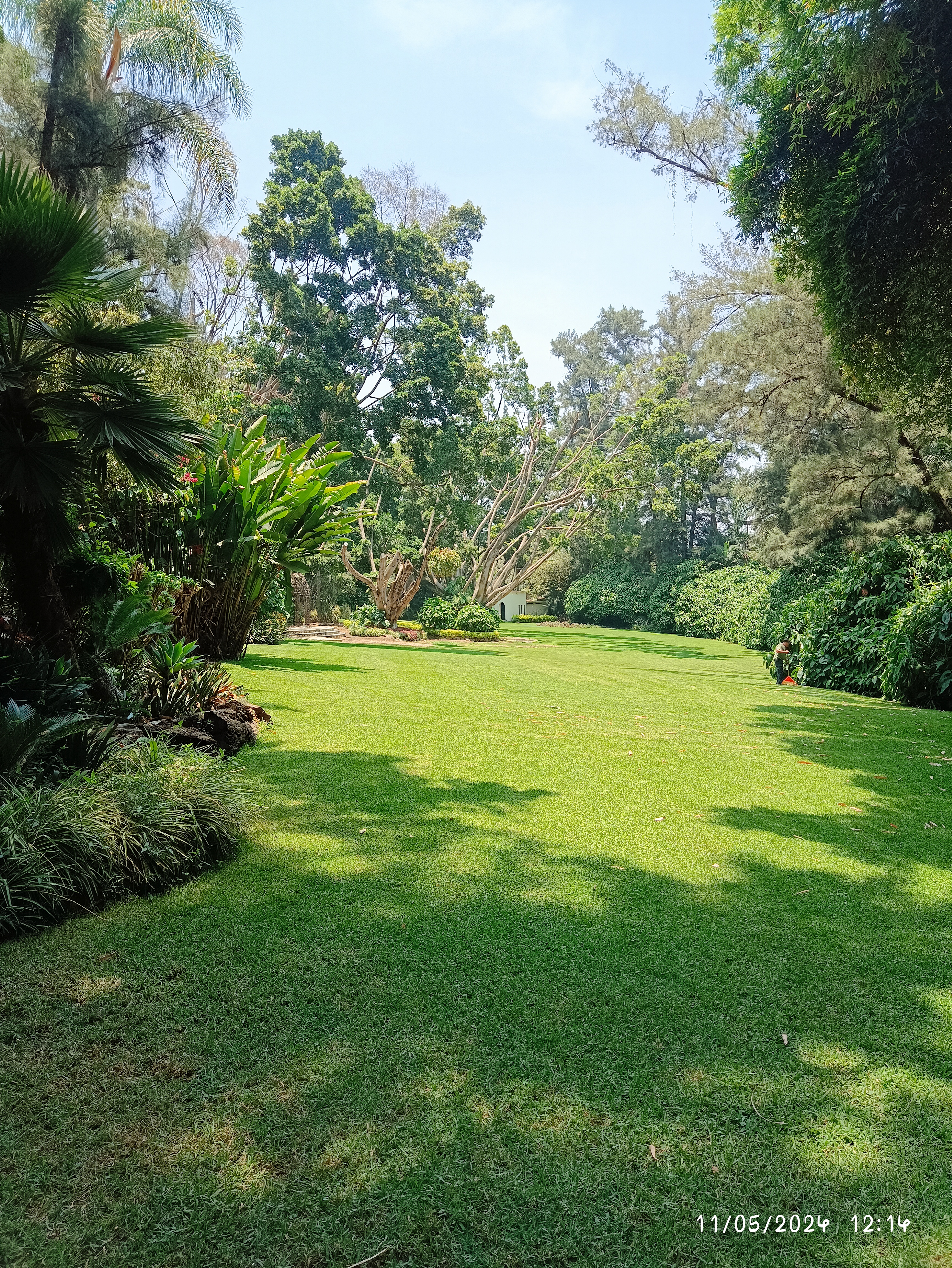 Cocina de Raíz Restaurante image 4