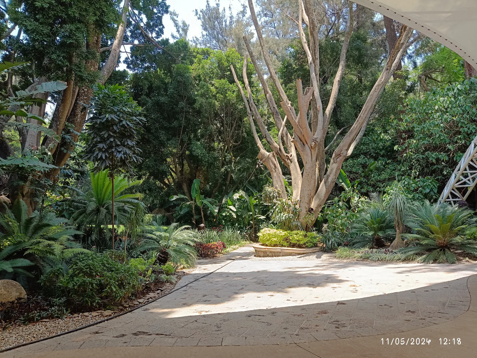 Cocina de Raíz Restaurante image 5