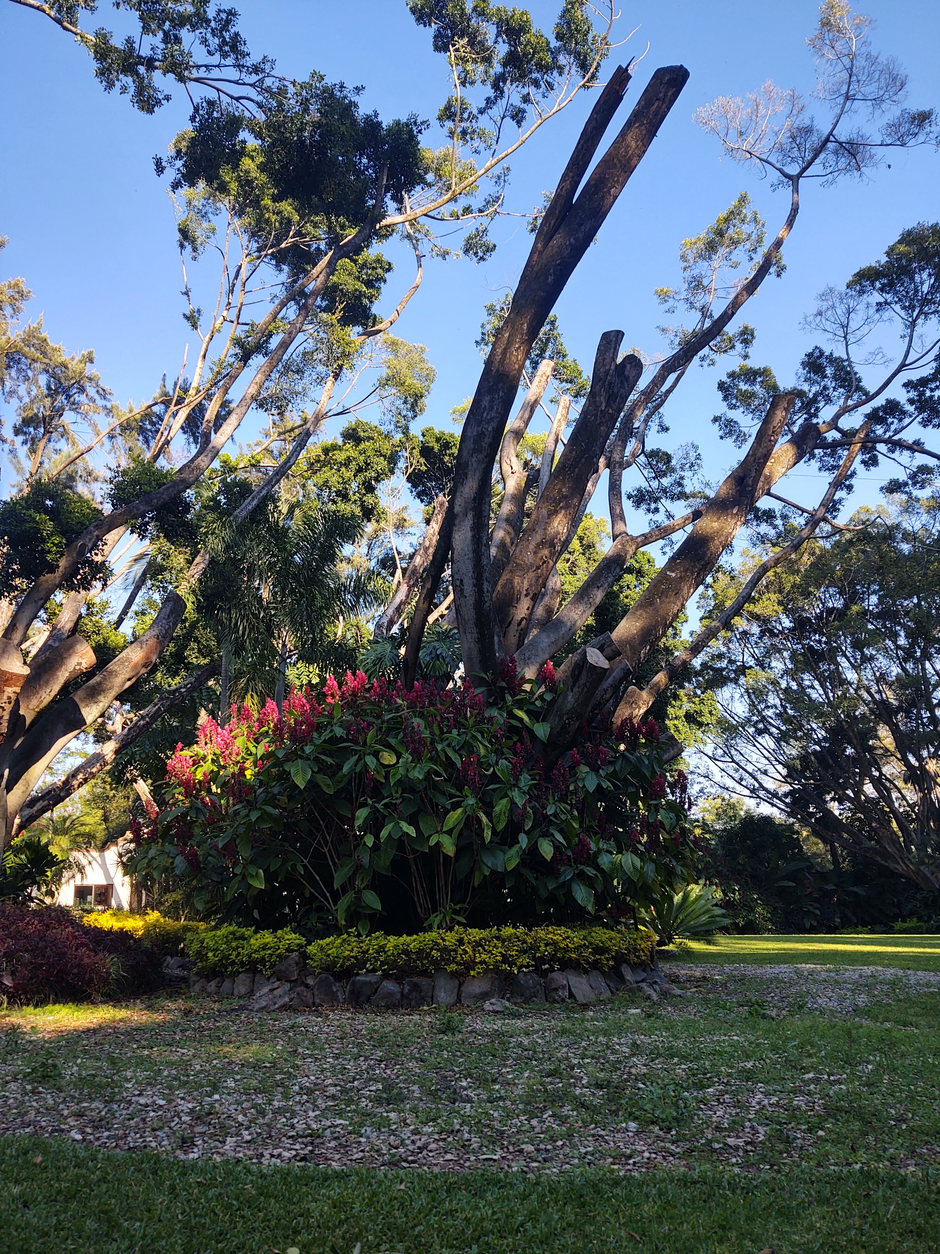 Cocina de Raíz Restaurante image 6