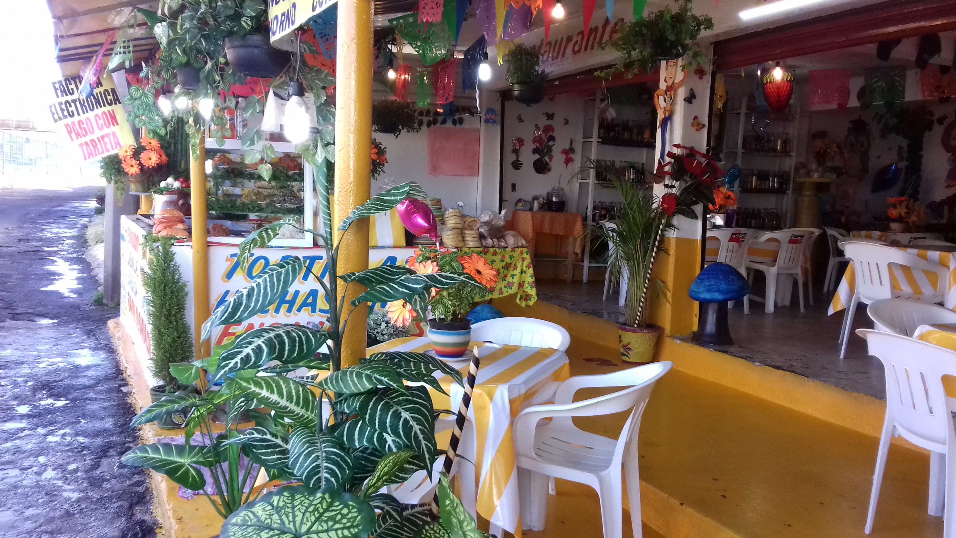 Restaurante San Jose image 1