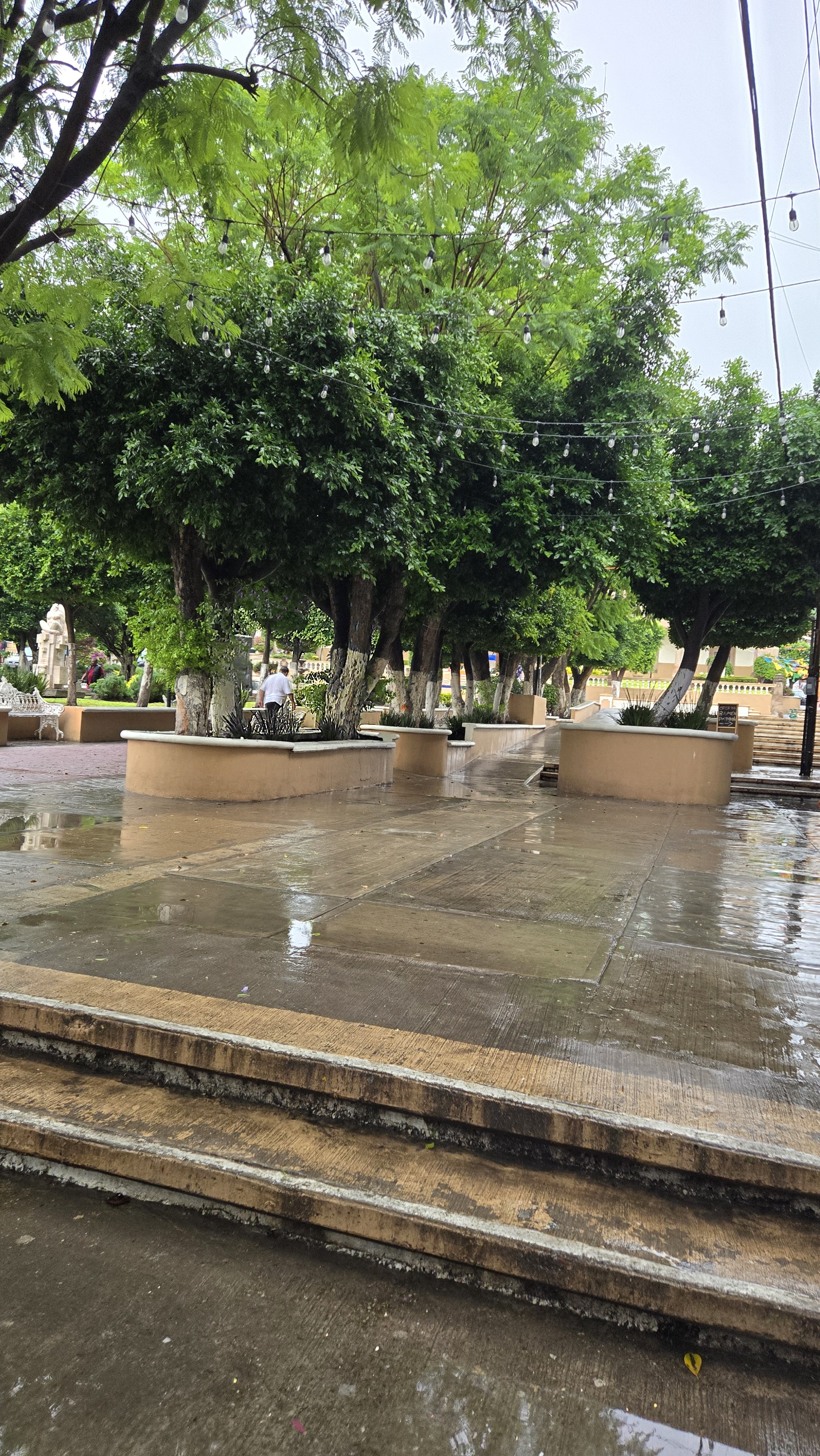 Casa JADI Cocina Artesanal image 8