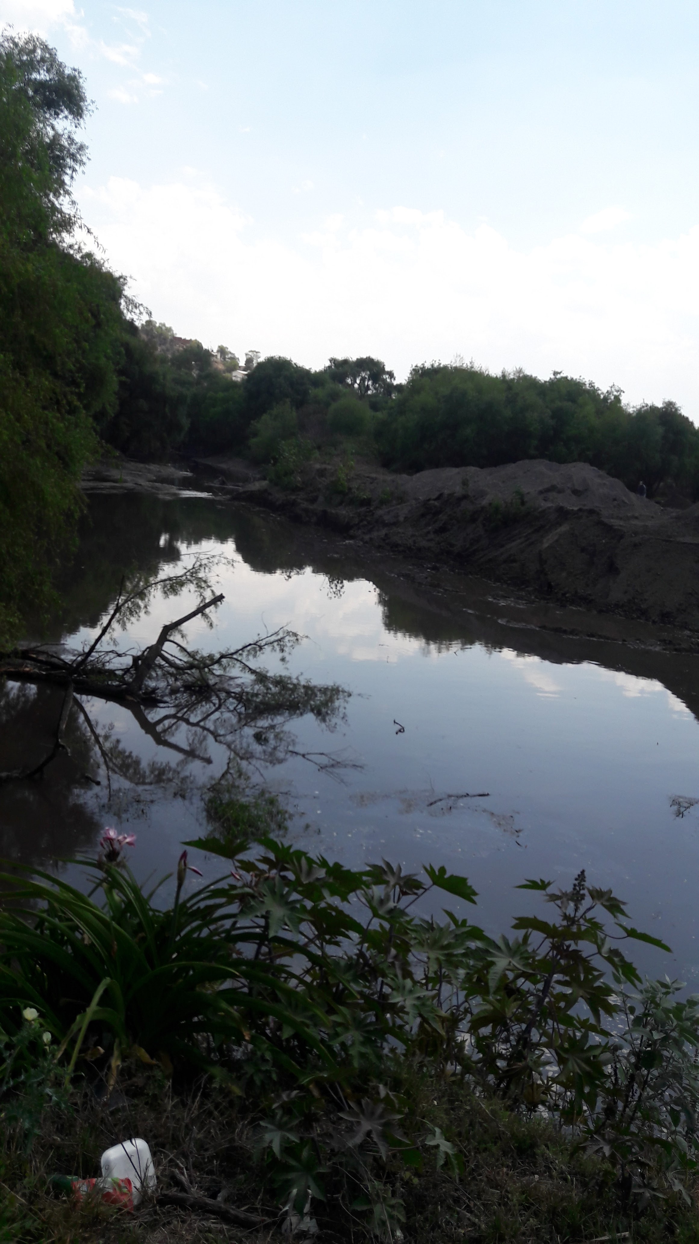 Tortas Alicia image 1