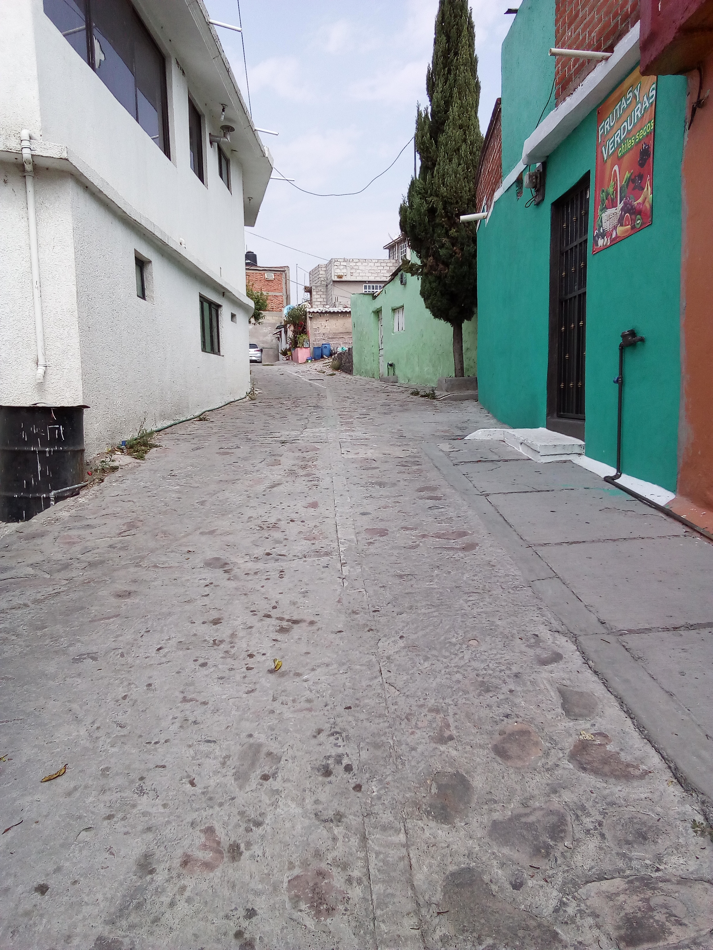 Tortas Alicia image 3