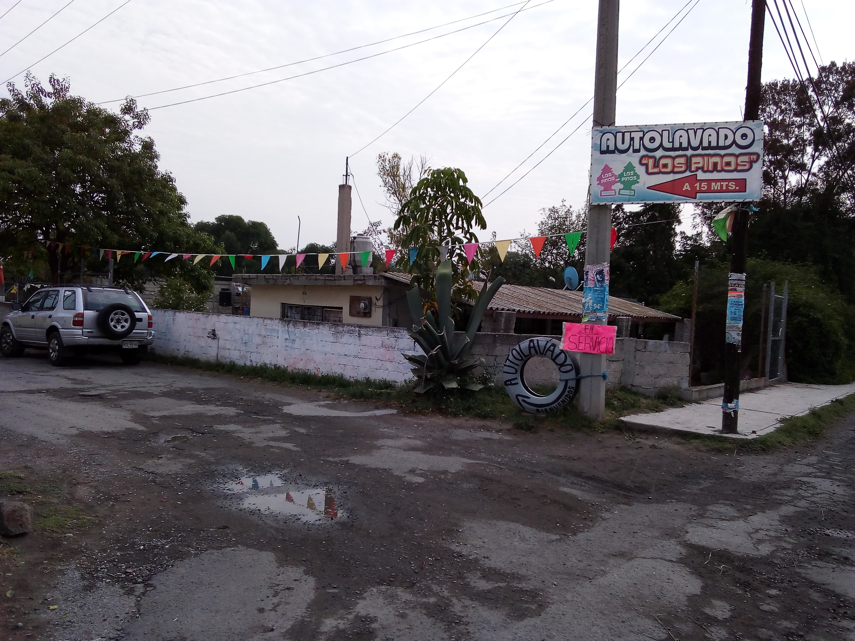 Tortas Alicia image 4