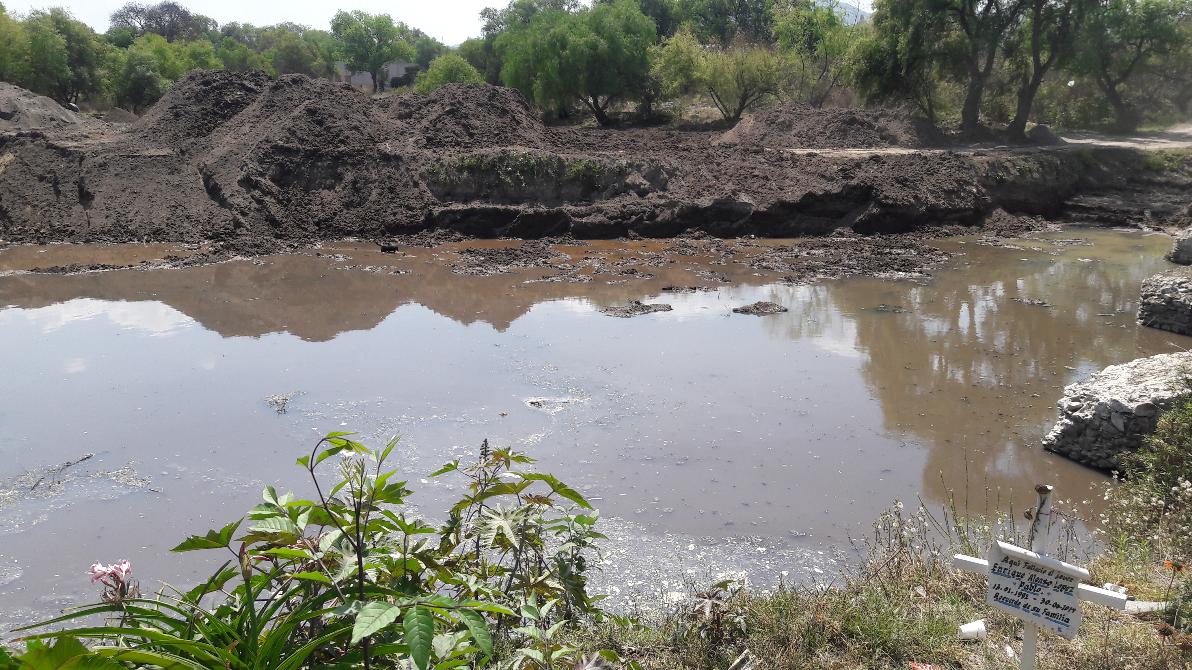 Tortas Alicia image 6