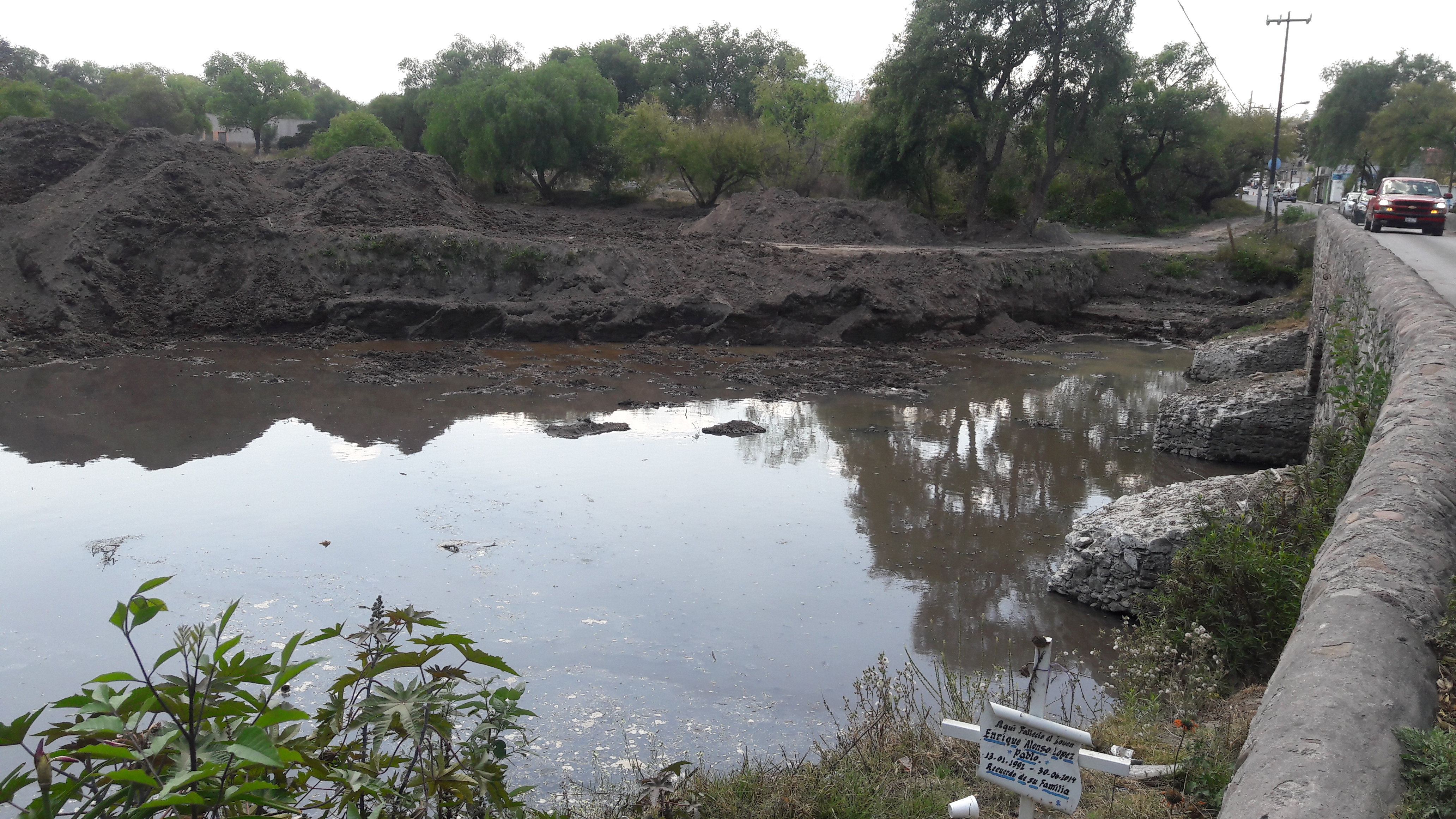 Tortas Alicia image 7