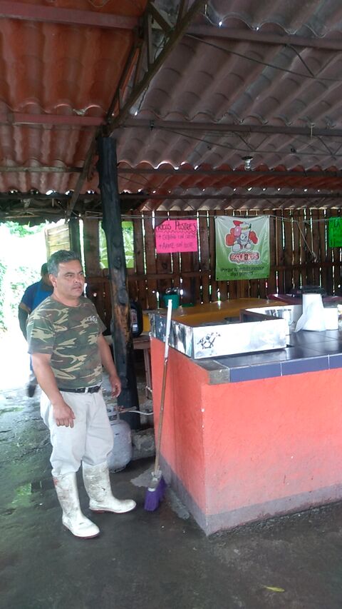Taqueria LA PALAPA image 4