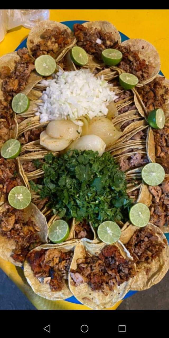 Taqueria LA PALAPA image 10