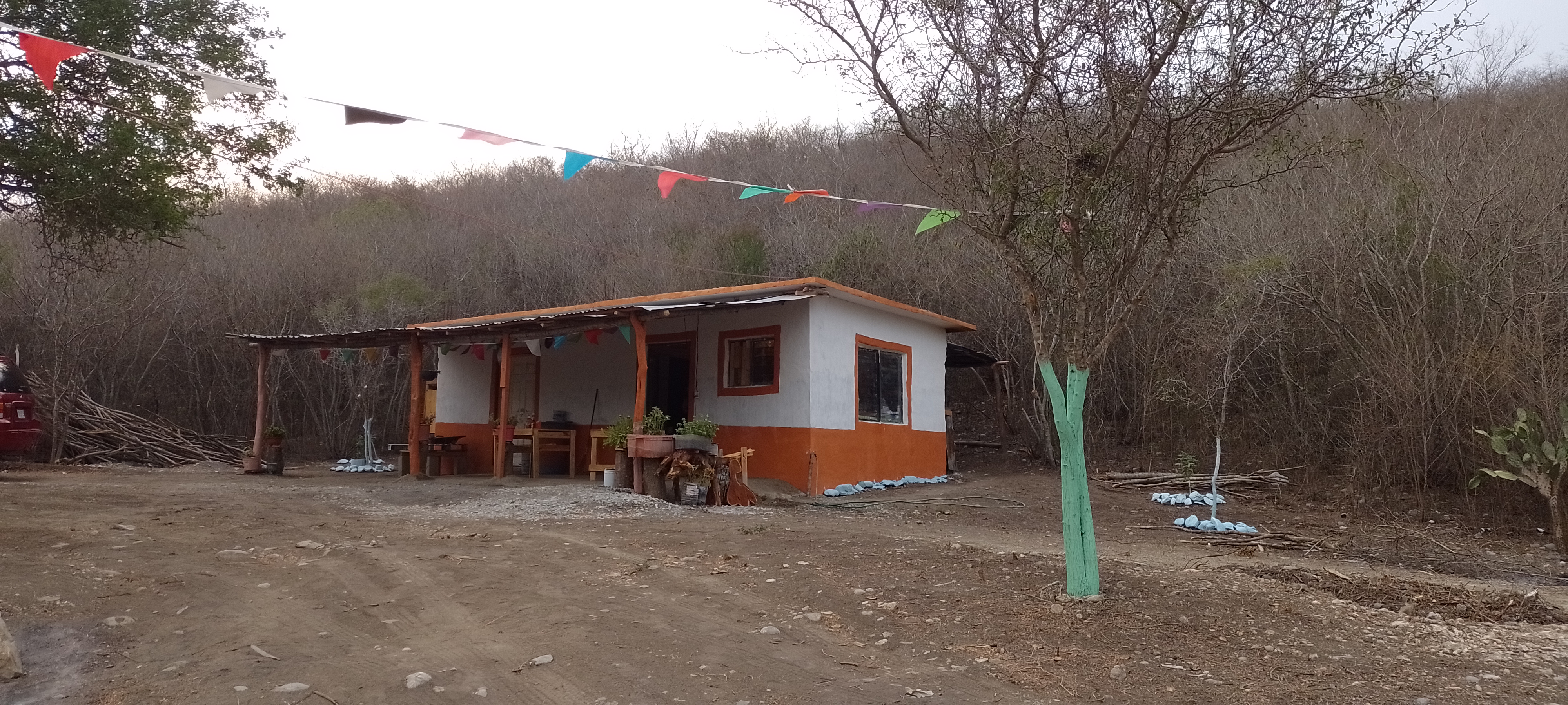 Pescado Frito DOÑA LORENA image 2