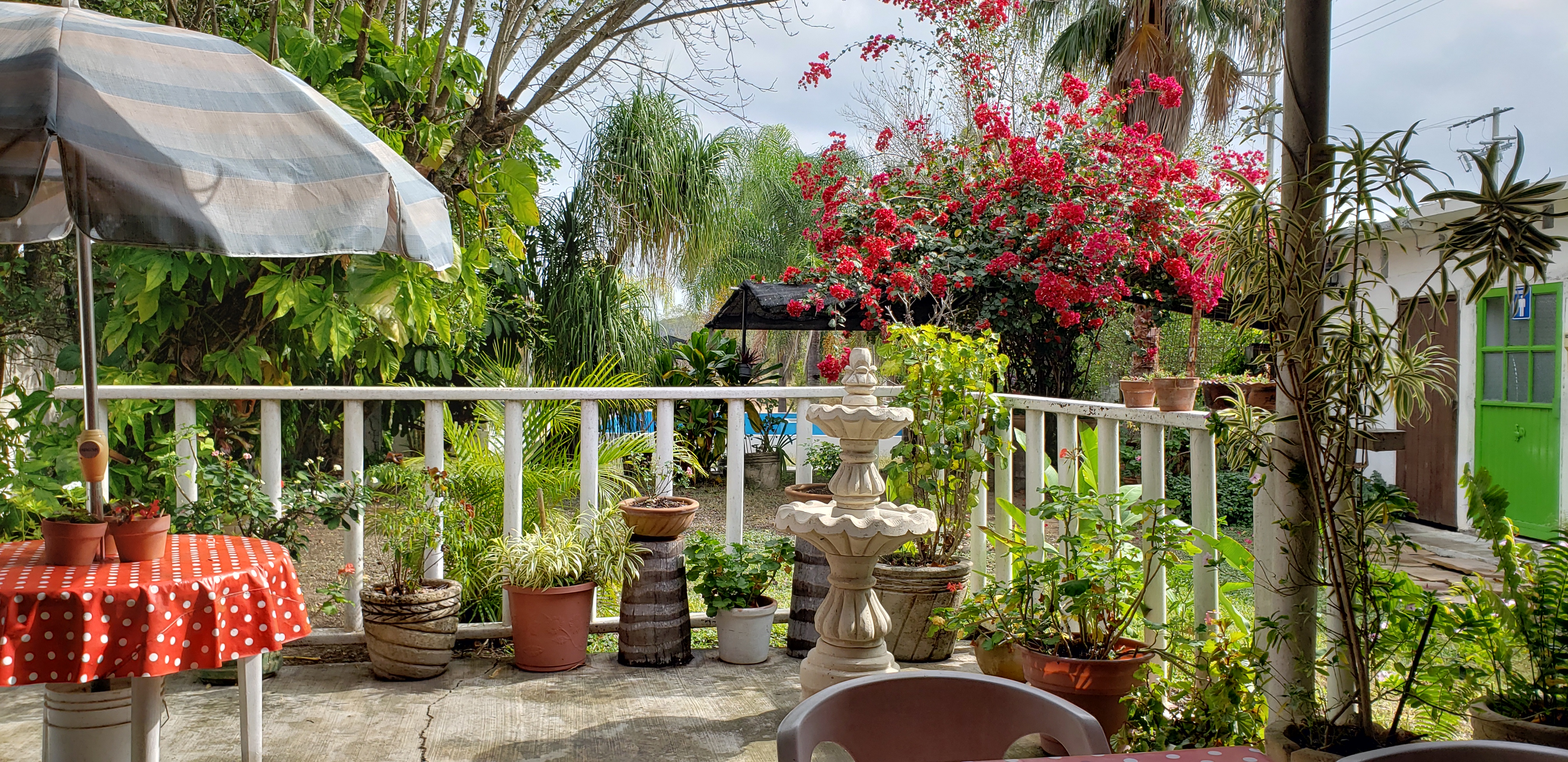 Restaurant las cazuelas image 5