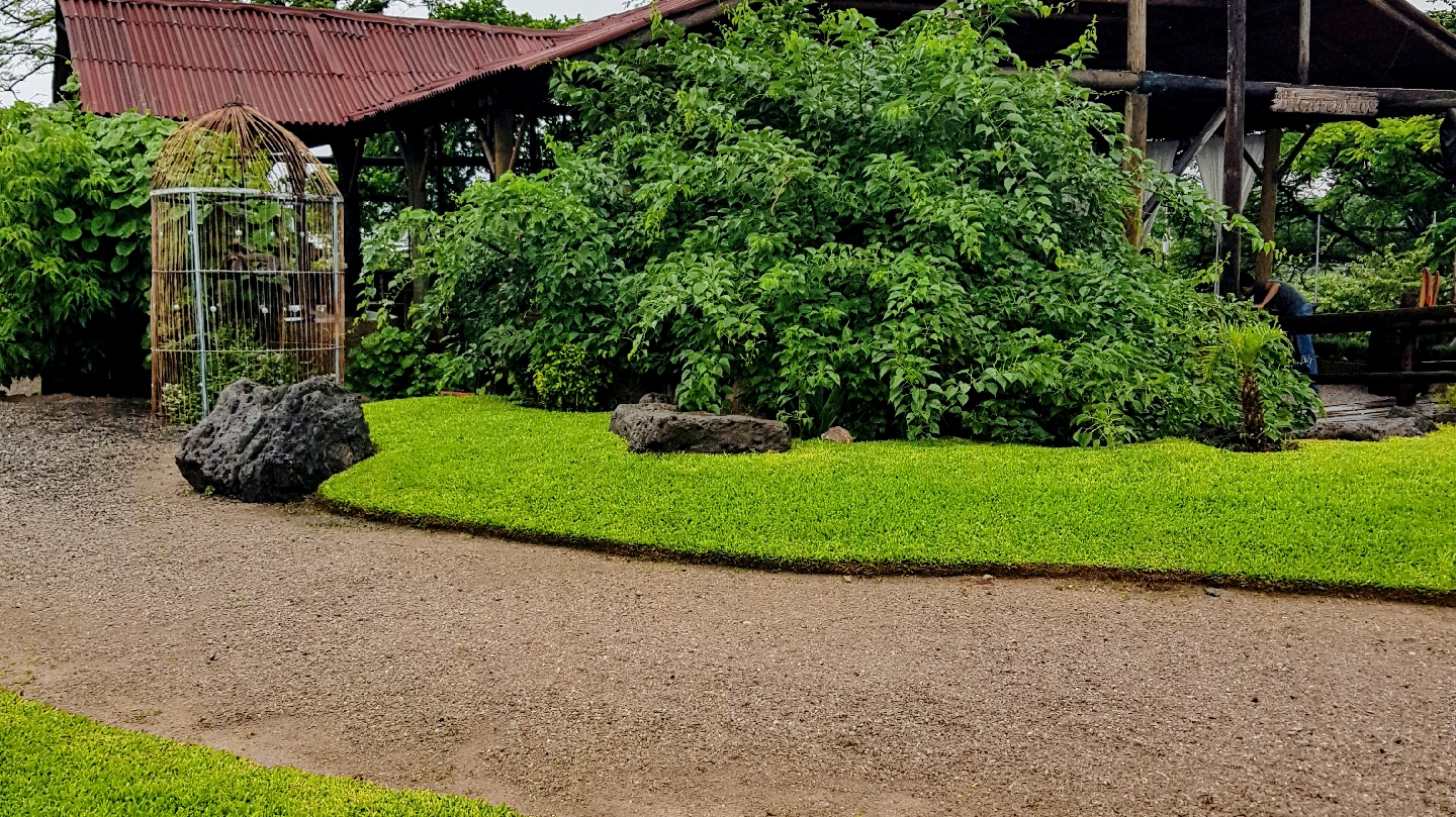 Restaurante Antiguo image 4