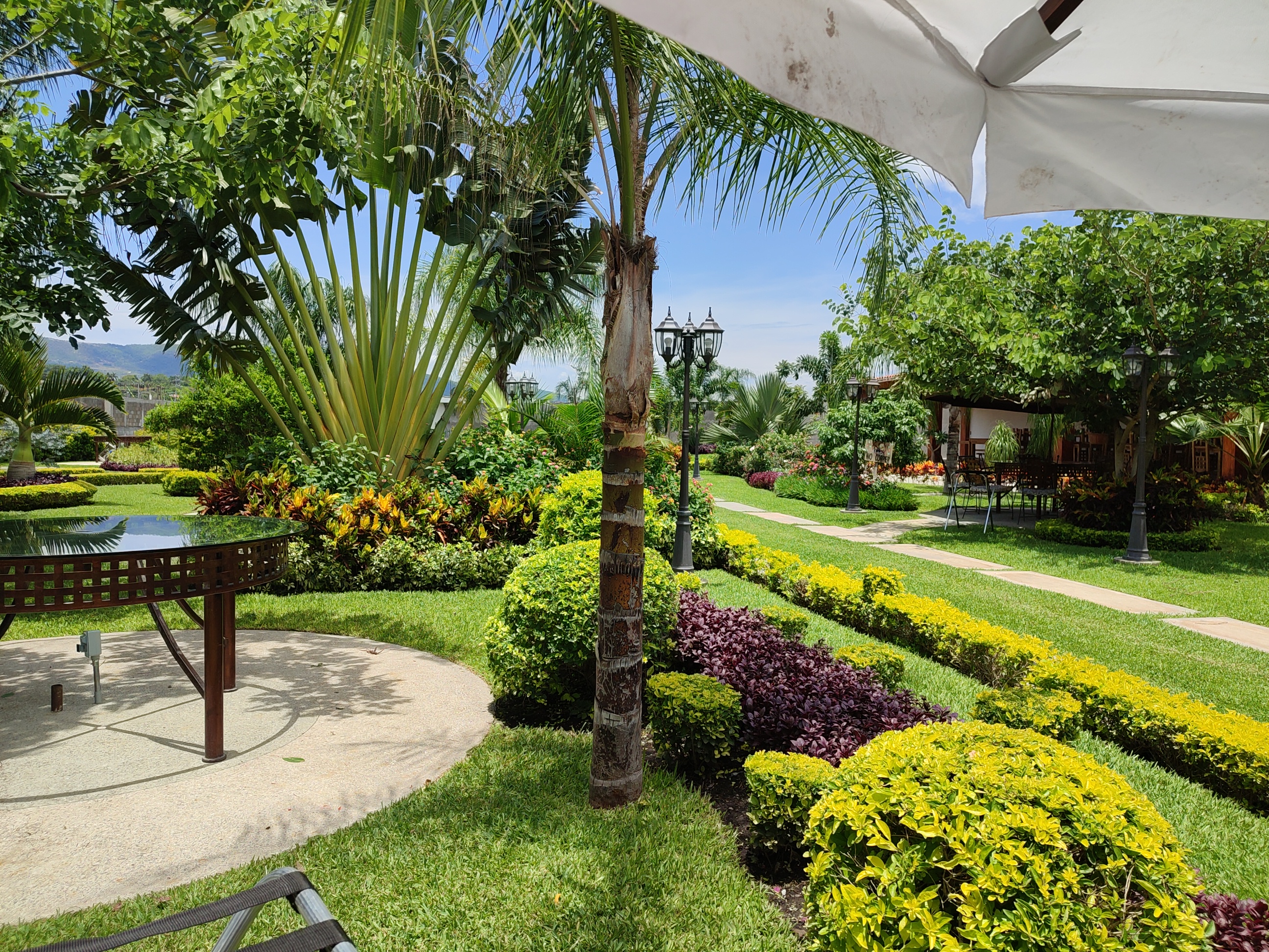 Mariscos El Faro image 9