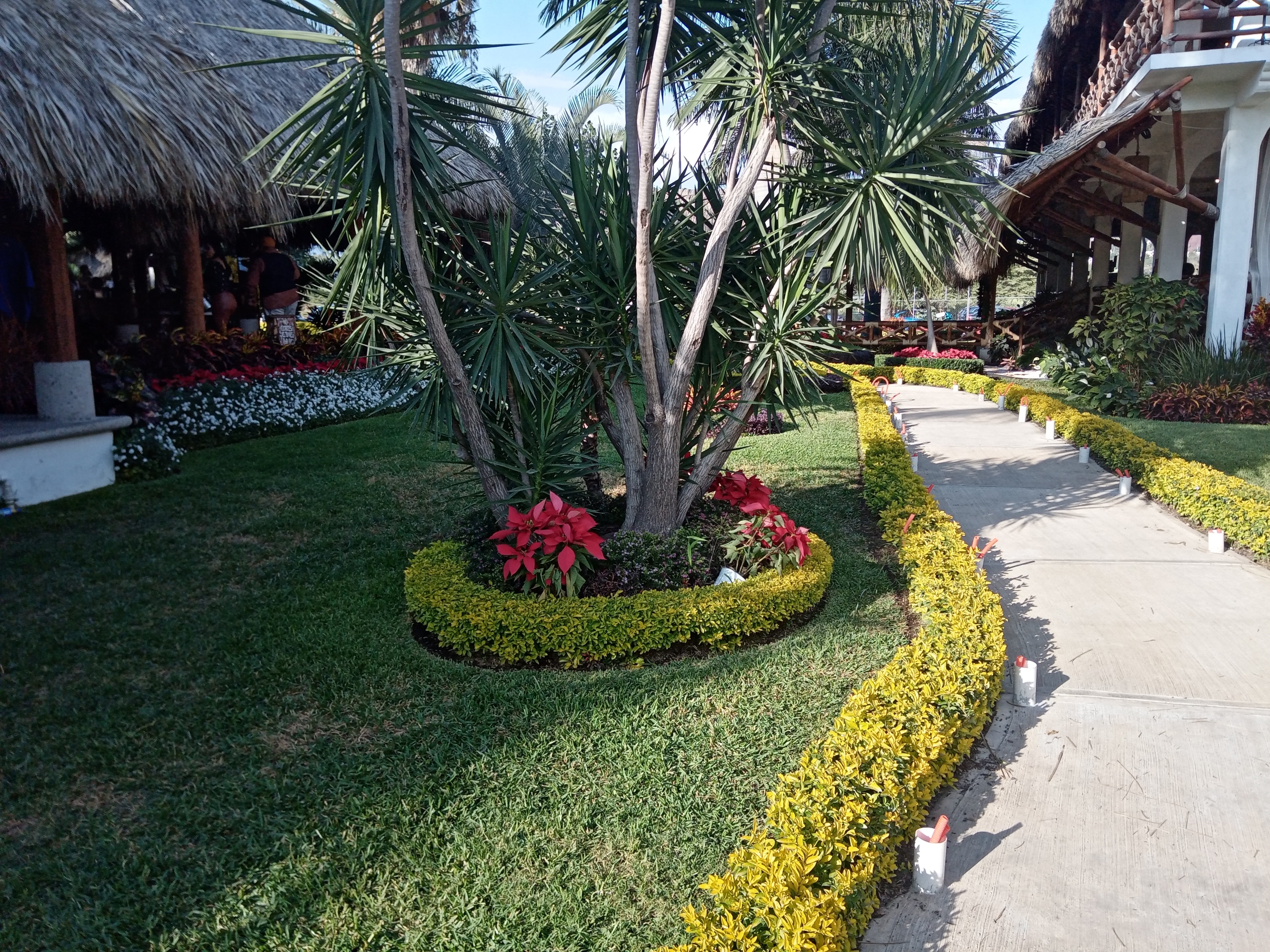 Las Asadas Bar & Grill image 10