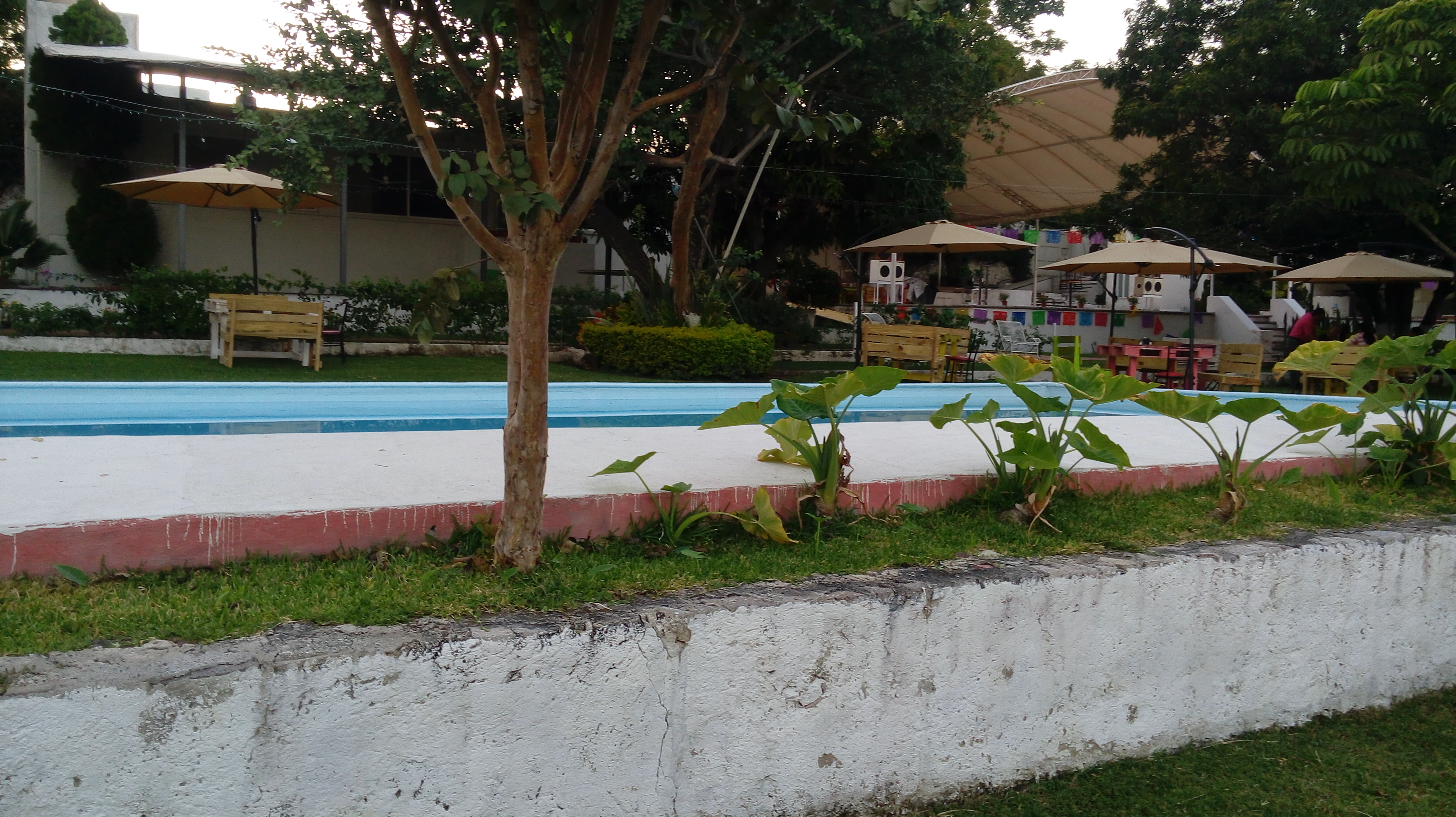 antojitos Mexicanos "Las Gemelas" image 2