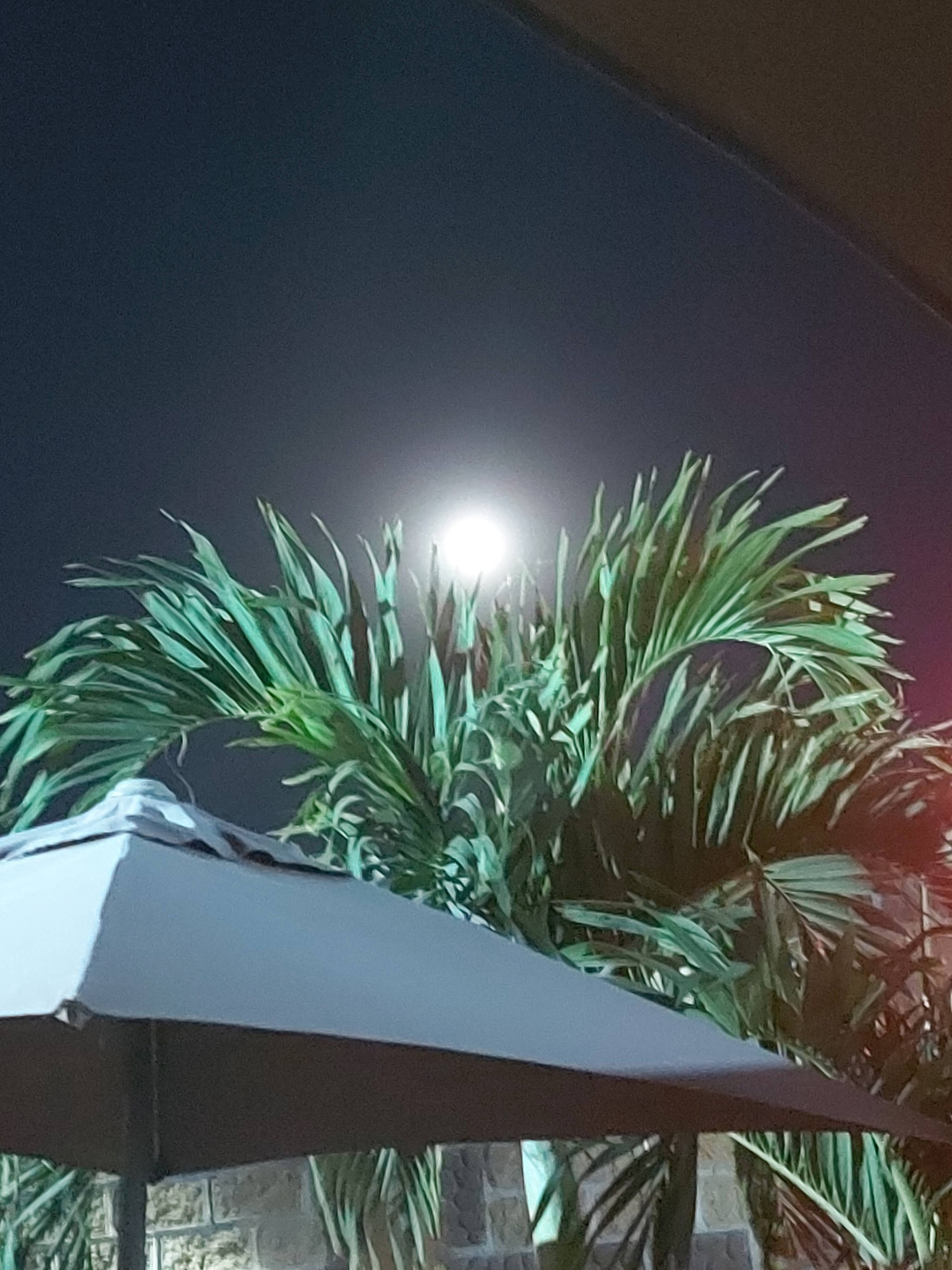 D'Luxe Restaurante/Bar image 6