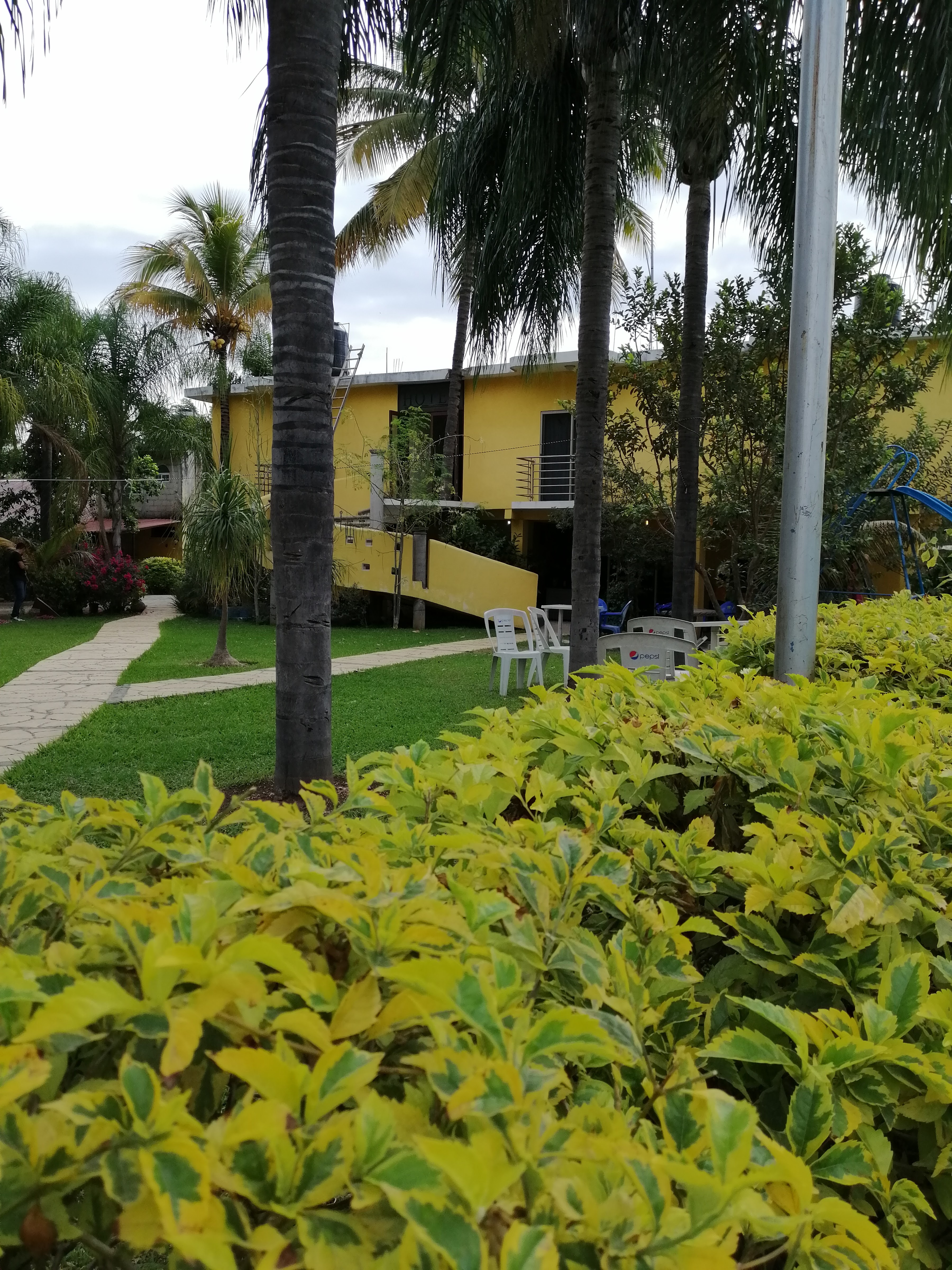 Restaurante Gelo image 5