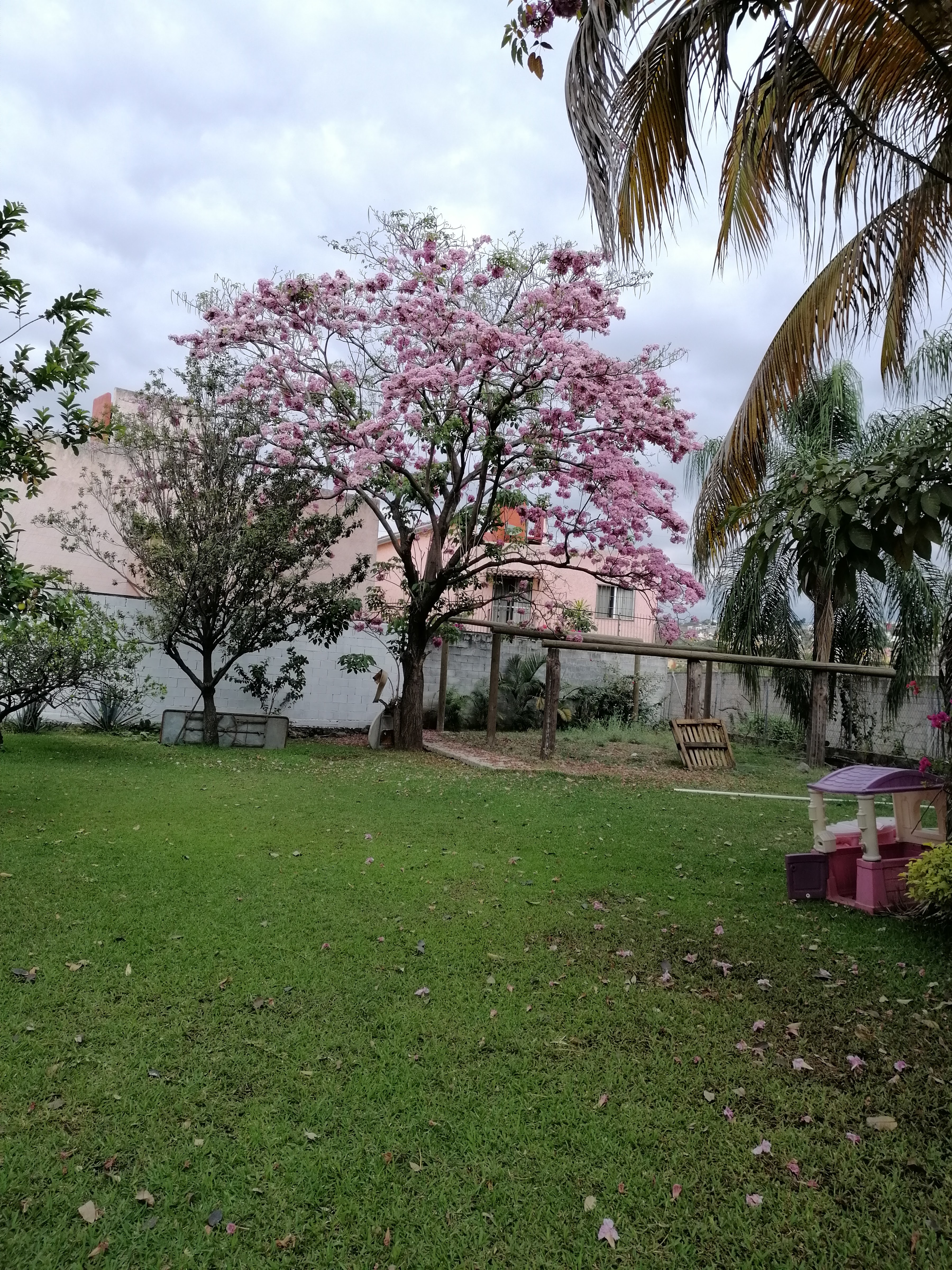 Restaurante Gelo image 9