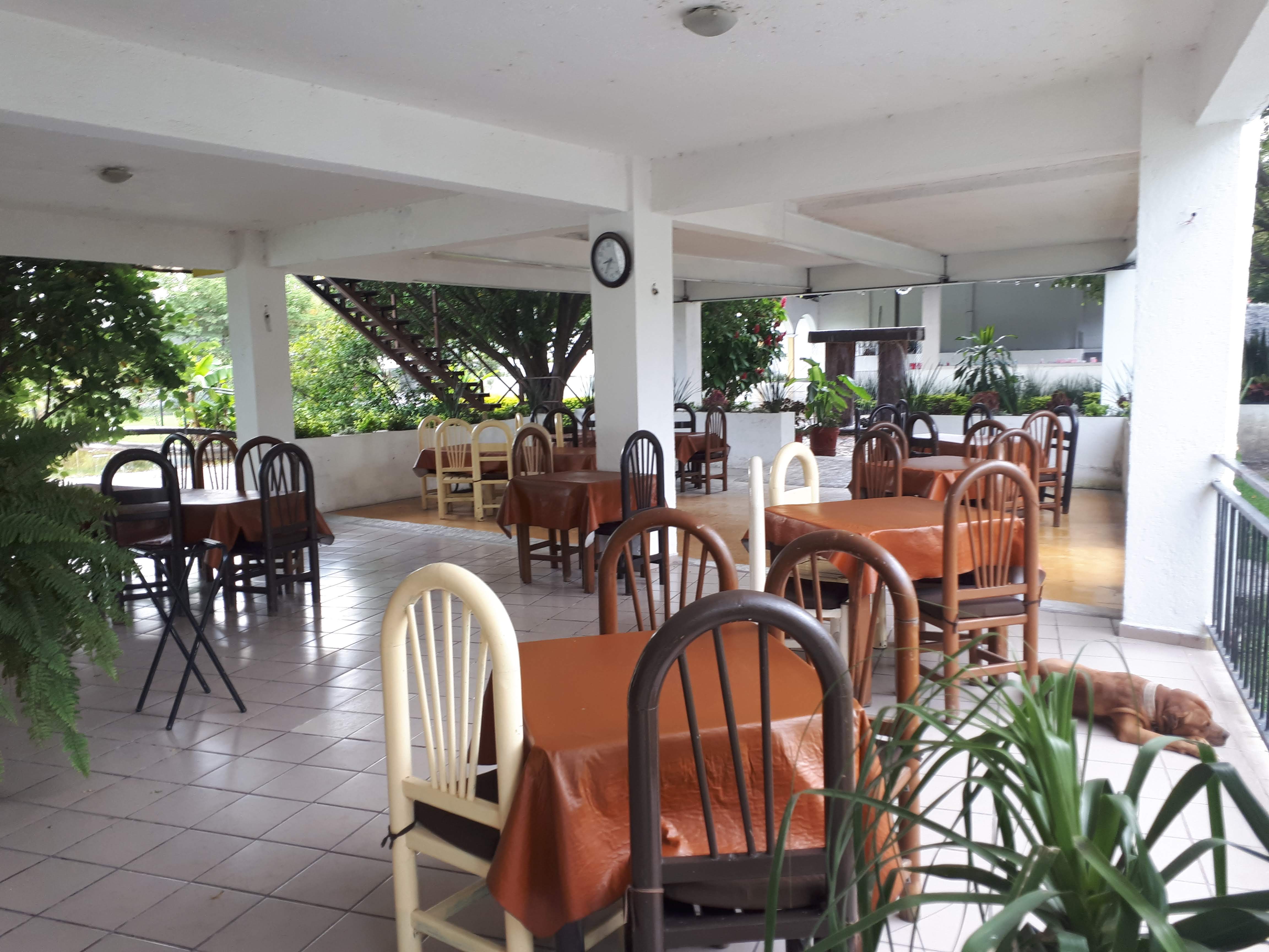 Terraza Jardín restaurant image 1