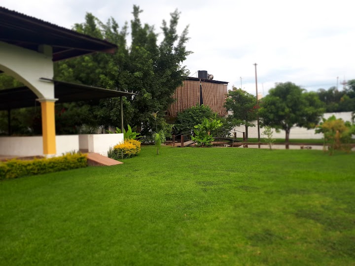 Terraza Jardín restaurant image 4