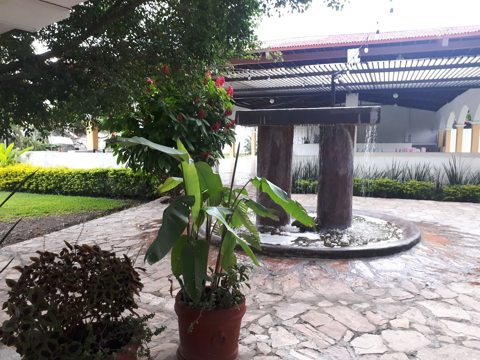 Terraza Jardín restaurant image 5
